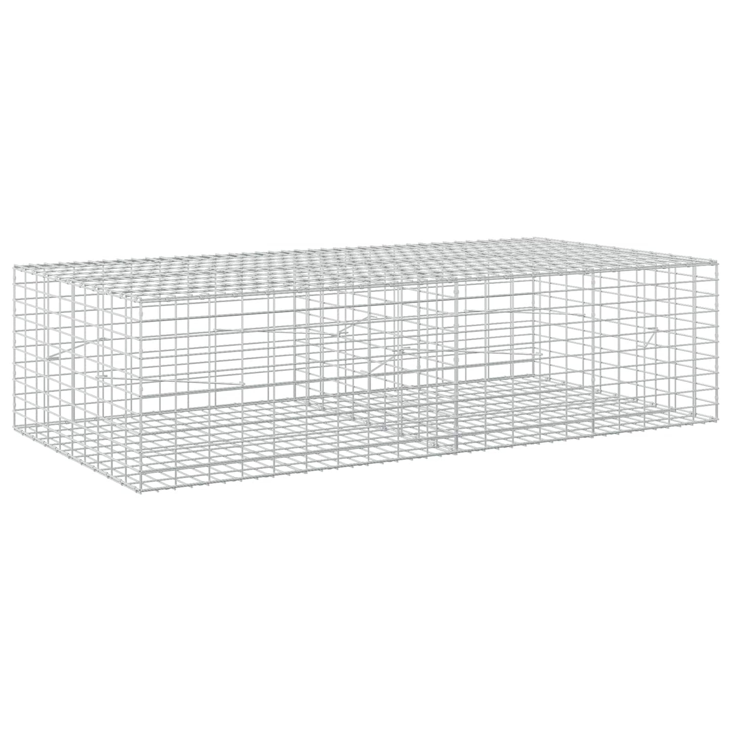 vidaXL Γκαμπιόν με σύρμα 3,5 mm και πλέγμα 5x10 cm 200x100x50 εκ