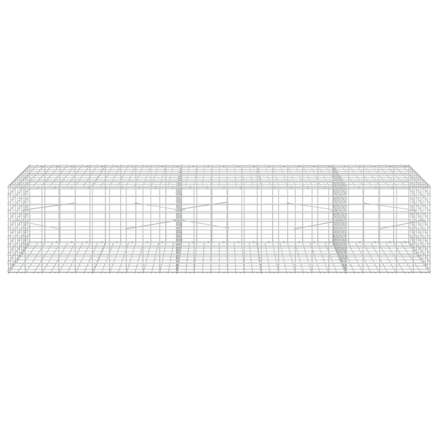vidaXL Γκαμπιόν με σύρμα 3,5 mm και πλέγμα 5x10 cm 250x100x50 εκ.