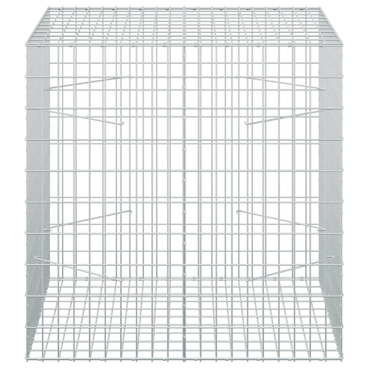 vidaXL Γκαμπιόν με σύρμα 3,5 mm και πλέγμα 5x10 cm 100x100x100 εκ.