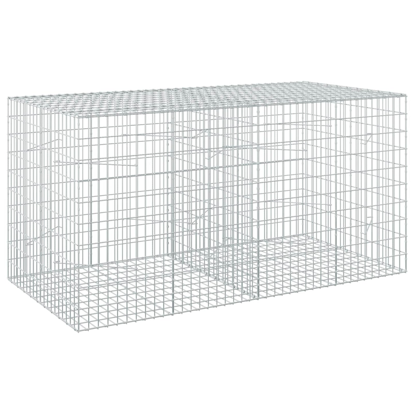 vidaXL Γκαμπιόν με σύρμα 3,5 mm και πλέγμα 5x10 cm 200x100x100 εκ.