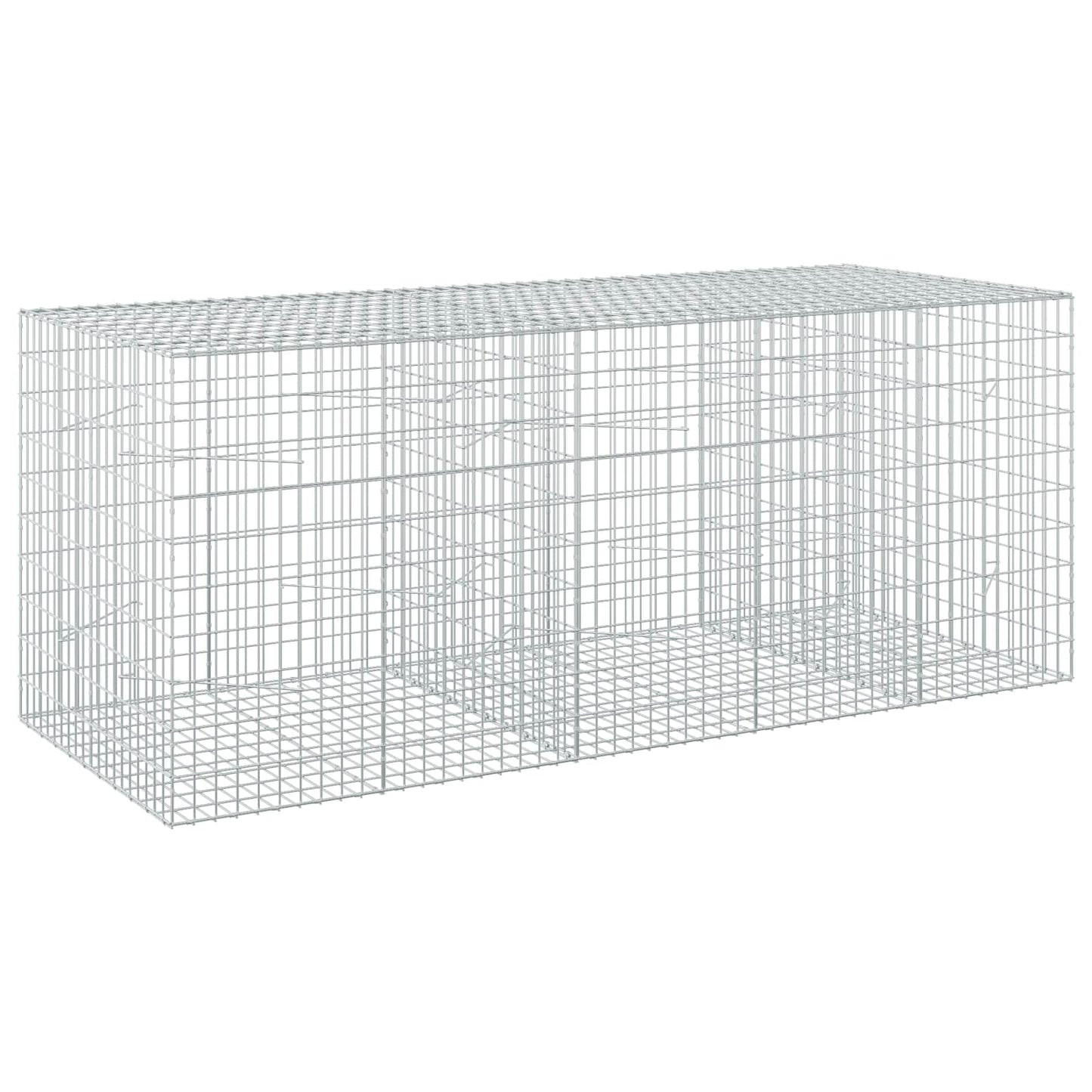 vidaXL Γκαμπιόν με σύρμα 3,5 mm και πλέγμα 5x10 cm 250x100x100 εκ.