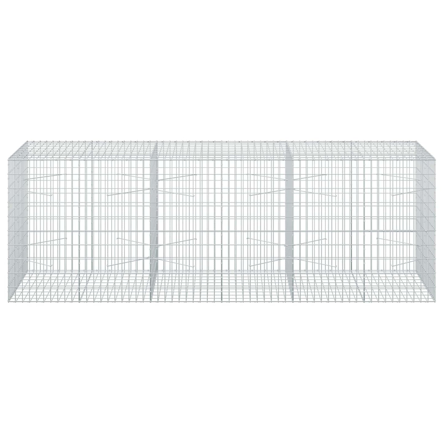 vidaXL Γκαμπιόν με σύρμα 3,5 mm και πλέγμα 5x10 cm 300x100x100 εκ.