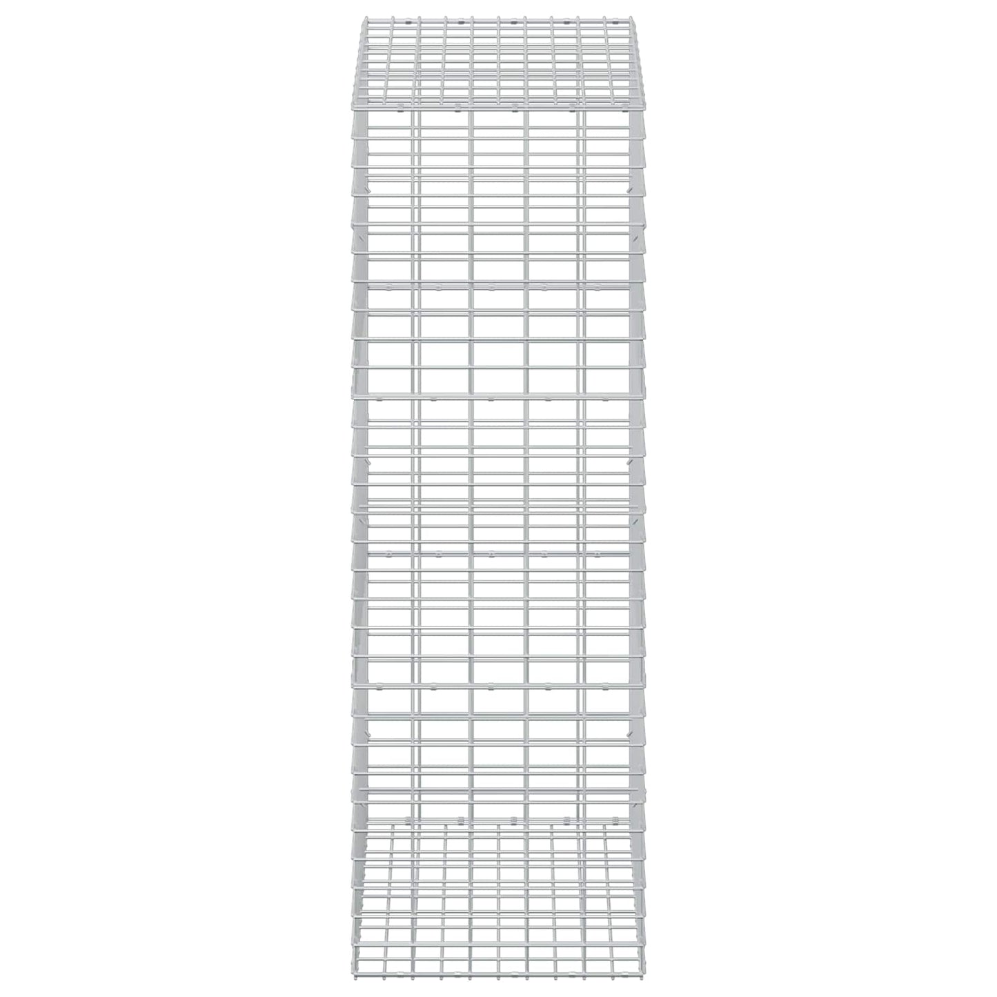 vidaXL Γκαμπιόν με σύρμα 3,5 mm και πλέγμα 5x10 cm 50x100x150 εκ.