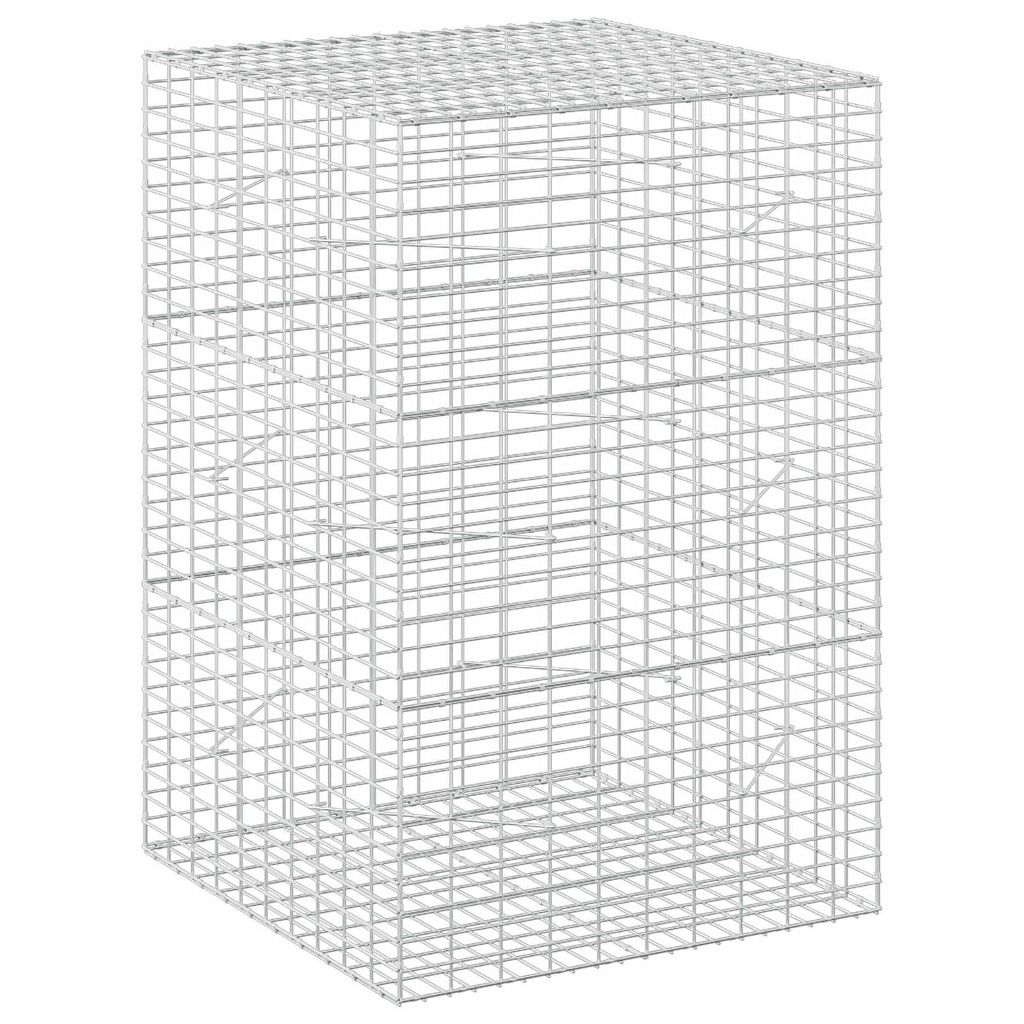 vidaXL Γκαμπιόν με σύρμα 3,5 mm και πλέγμα 5x10 cm 100x100x150 εκ