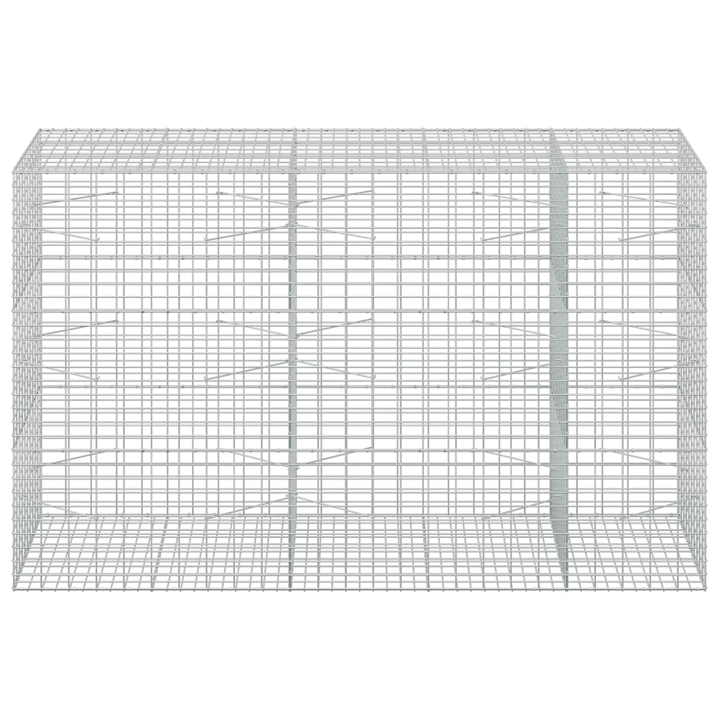 vidaXL Γκαμπιόν με σύρμα 3,5 mm και πλέγμα 5x10 cm 250x100x150 εκ.