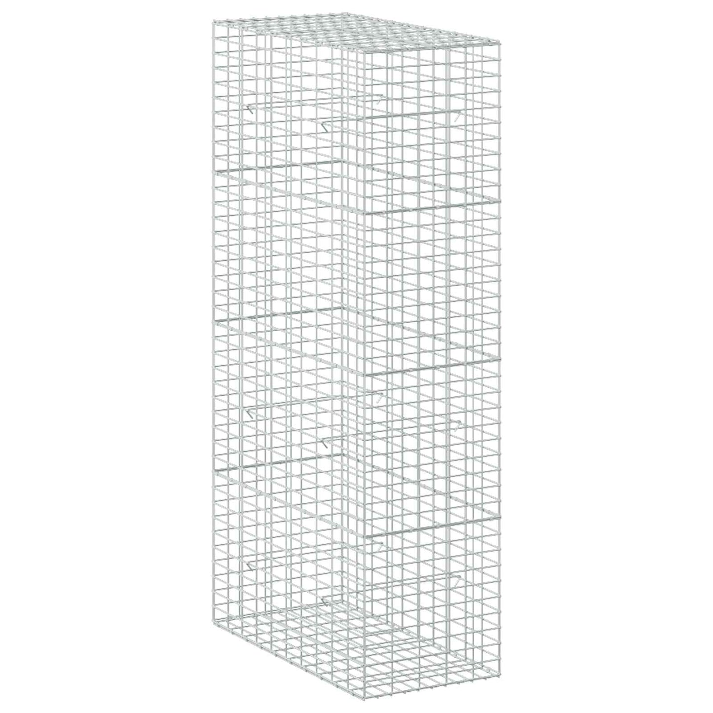vidaXL Γκαμπιόν με σύρμα 3,5 mm και πλέγμα 5x10 cm 50x100x200 εκ