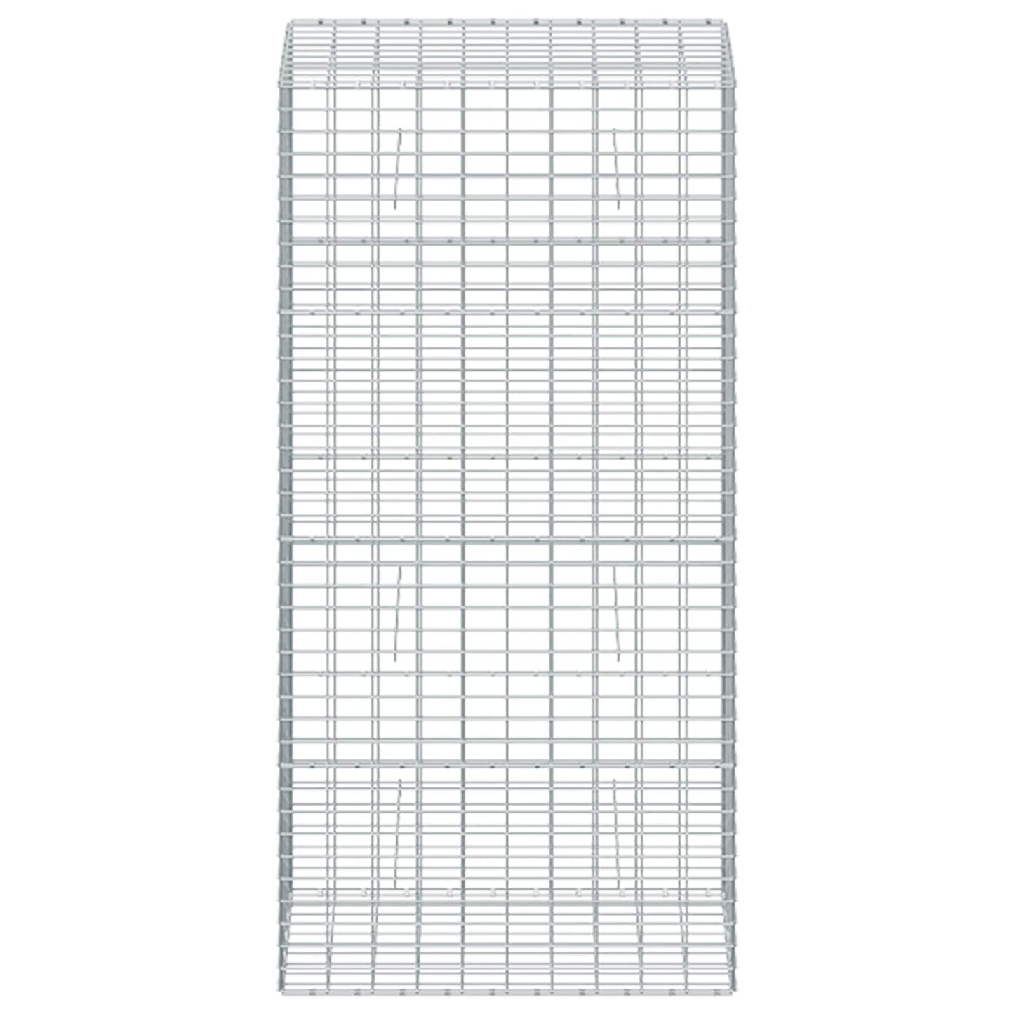 vidaXL Γκαμπιόν με σύρμα 3,5 mm και πλέγμα 5x10 cm 50x100x200 εκ