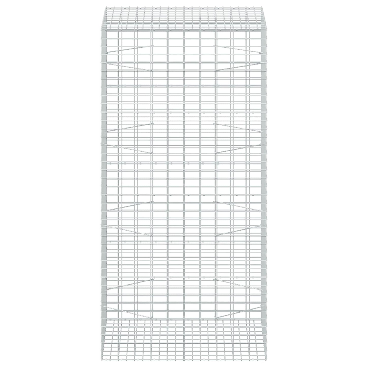 vidaXL Γκαμπιόν με σύρμα 3,5 mm και πλέγμα 5x10 cm 100x100x200 εκ