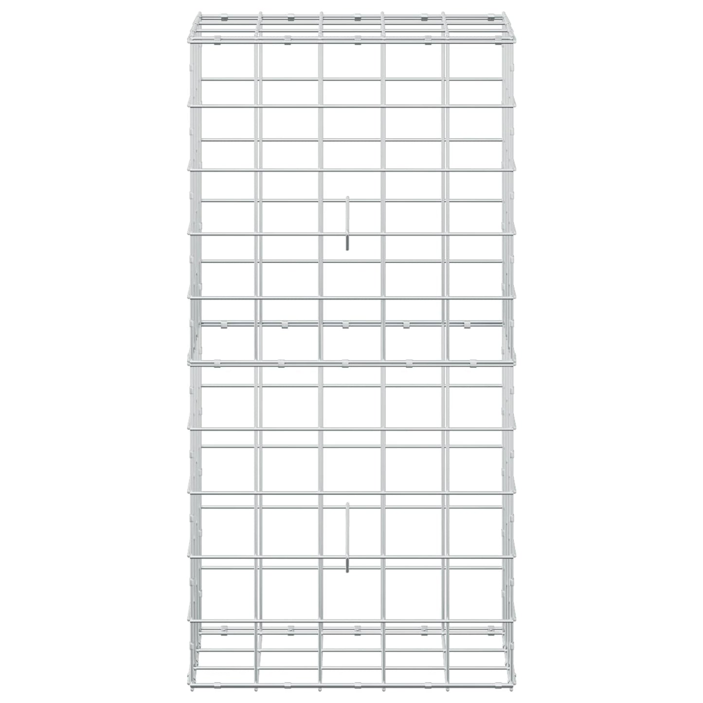 vidaXL Γκαμπιόν με σύρμα 3,5 mm και πλέγμα 10x10 cm 50x30x100 εκ