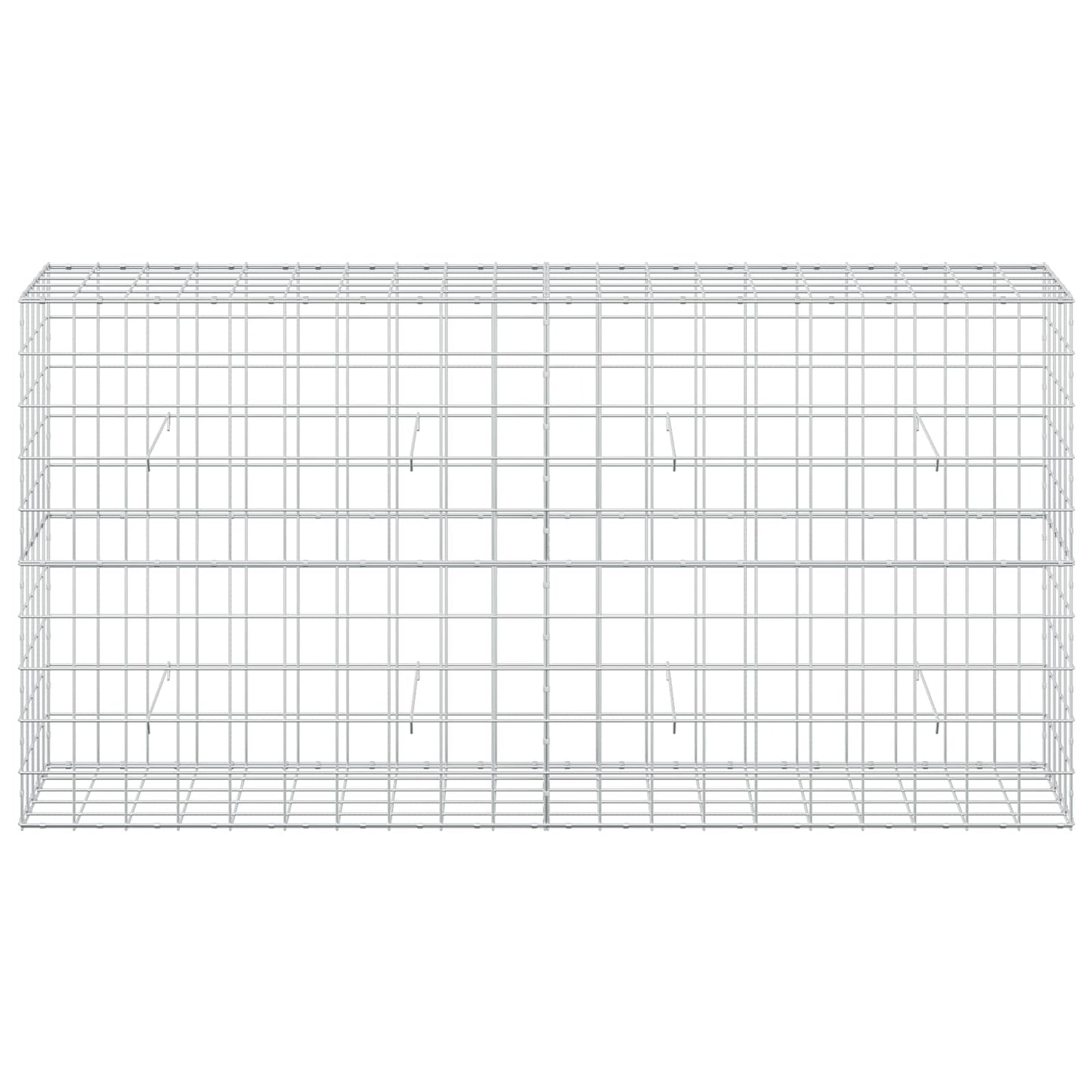 vidaXL Γκαμπιόν με σύρμα 3,5 mm και πλέγμα 10x10 cm 200x50x100 εκ