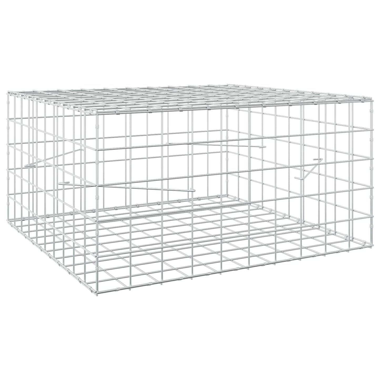 vidaXL Γκαμπιόν με σύρμα 3,5 mm και πλέγμα 10x10 cm 100x100x50 εκ