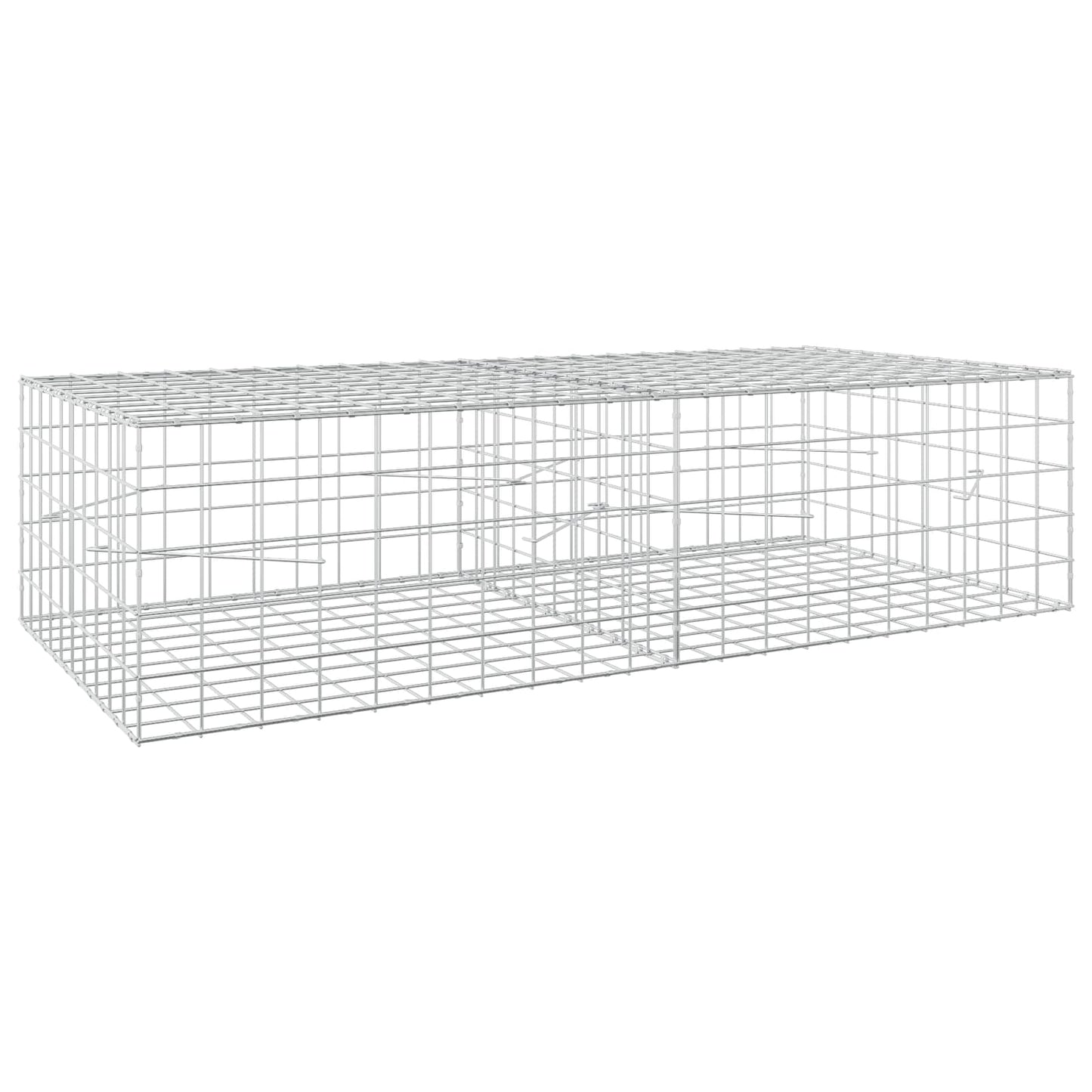 vidaXL Γκαμπιόν με σύρμα 3,5 mm και πλέγμα 10x10 cm 200x100x50 εκ
