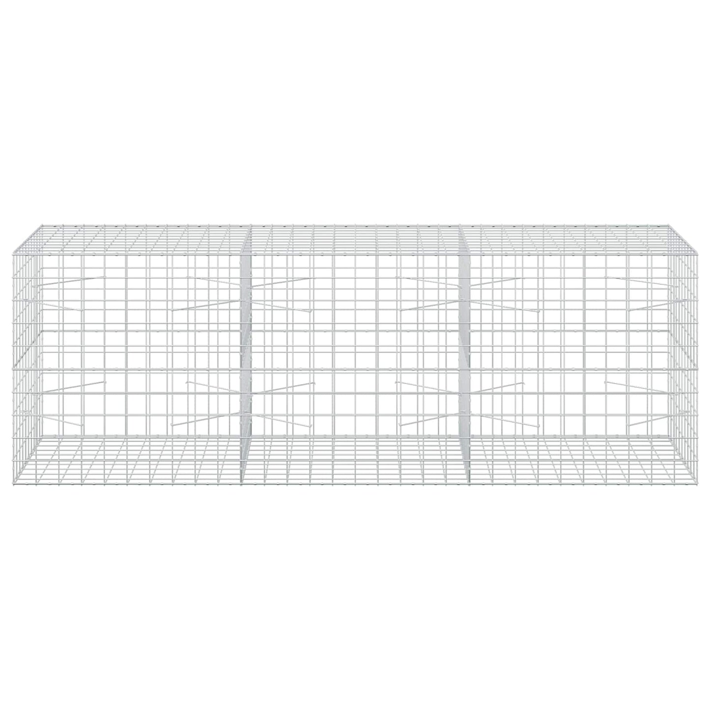 vidaXL Γκαμπιόν με σύρμα 3,5 mm και πλέγμα 10x10 cm 300x100x100 εκ.