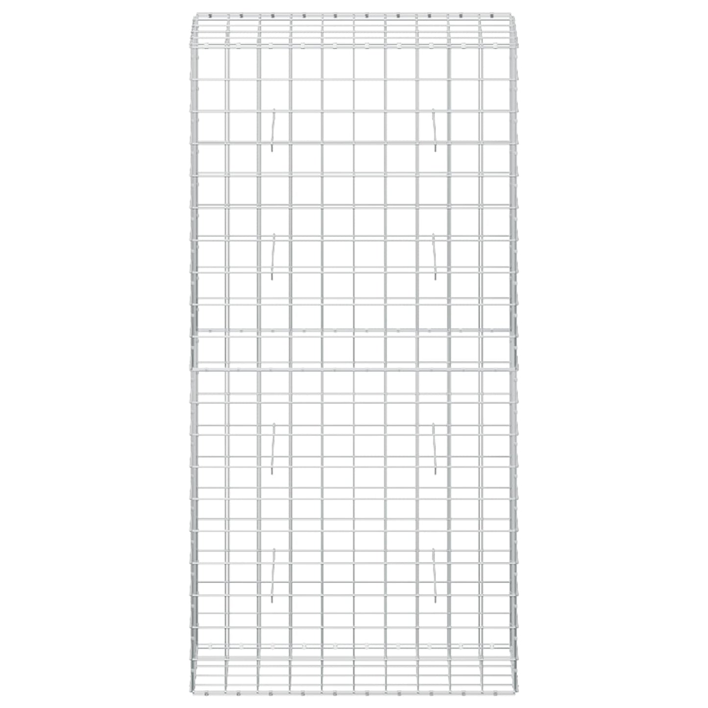 vidaXL Γκαμπιόν με σύρμα 3,5 mm και πλέγμα 10x10 cm 50x100x200 εκ