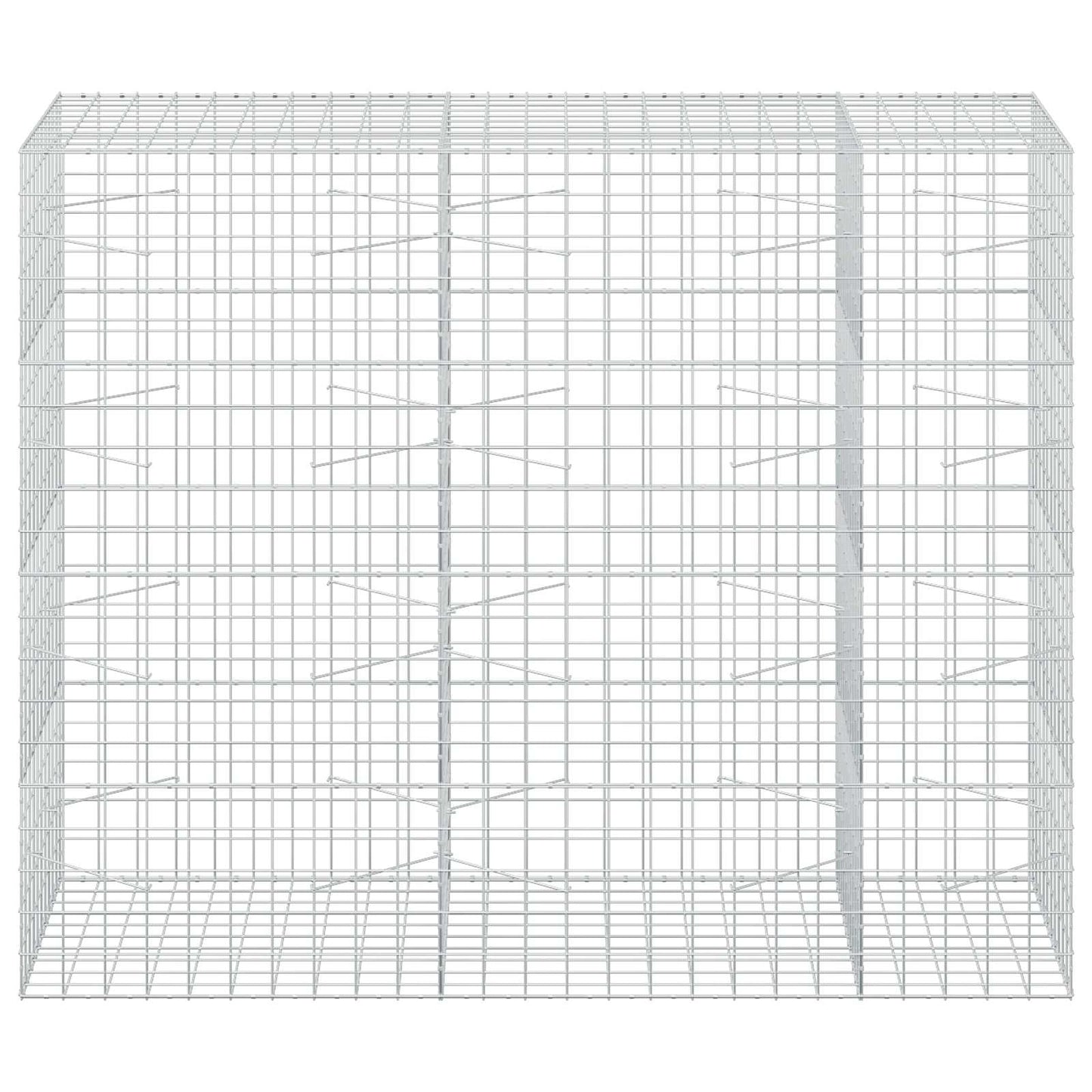 vidaXL Γκαμπιόν με σύρμα 3,5 mm και πλέγμα 10x10 cm 250x100x200 εκ.