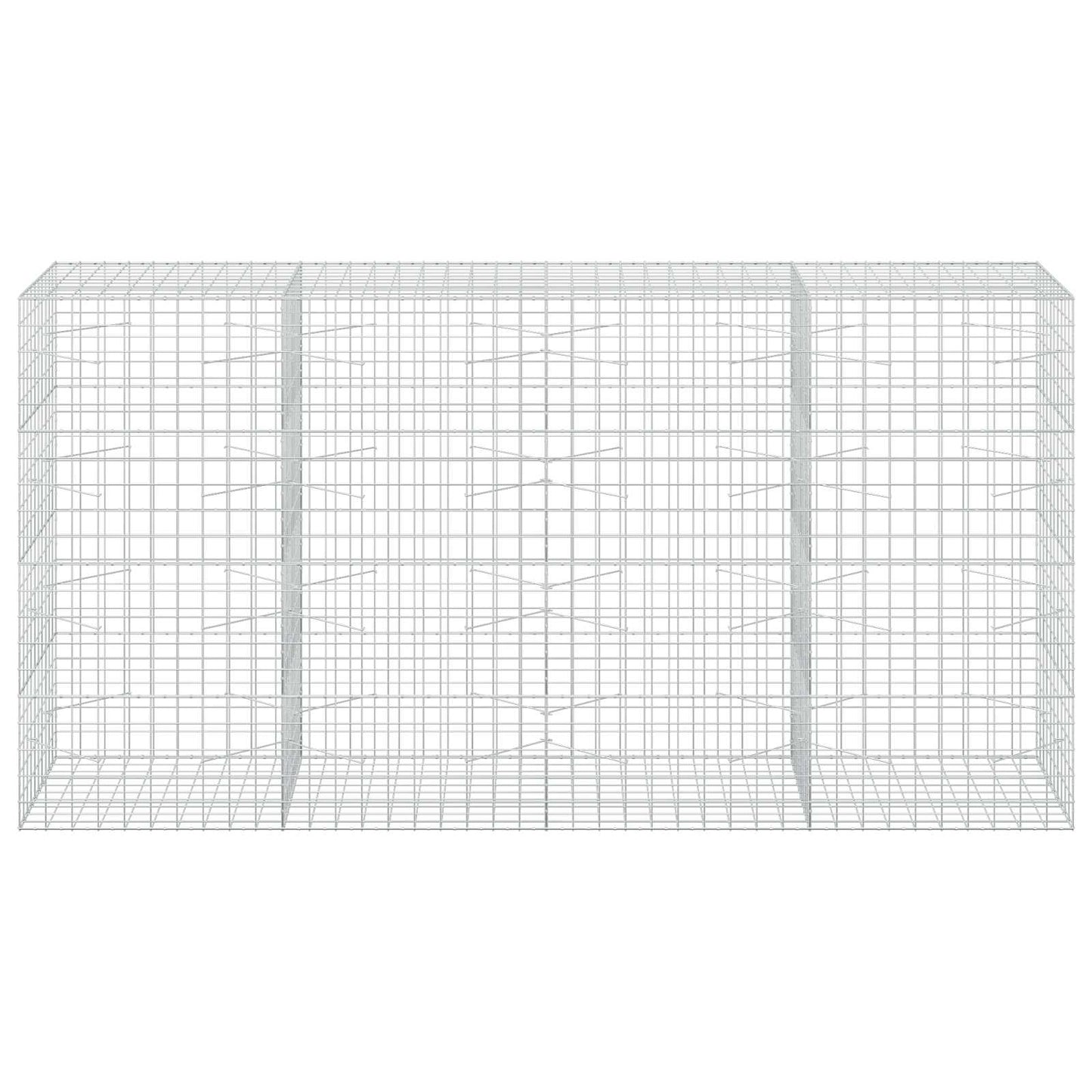 vidaXL Γκαμπιόν με σύρμα 3,5 mm και πλέγμα 10x10 cm 400x100x200 εκ