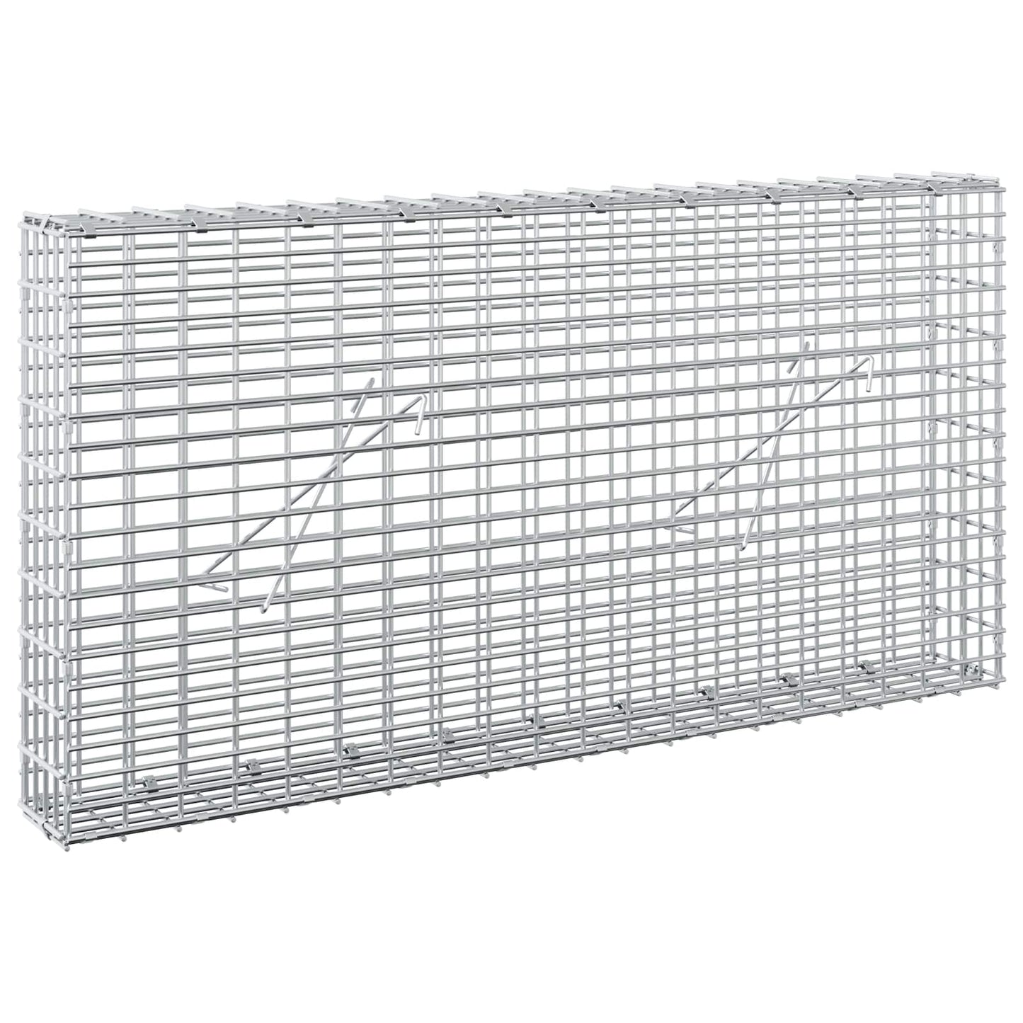 vidaXL Γκαμπιόν με σύρμα 5 mm και πλέγμα 5x2,5 cm 100x10x50 εκ