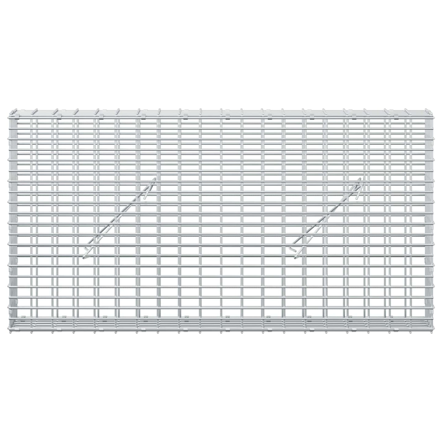 vidaXL Γκαμπιόν με σύρμα 5 mm και πλέγμα 5x2,5 cm 100x10x50 εκ