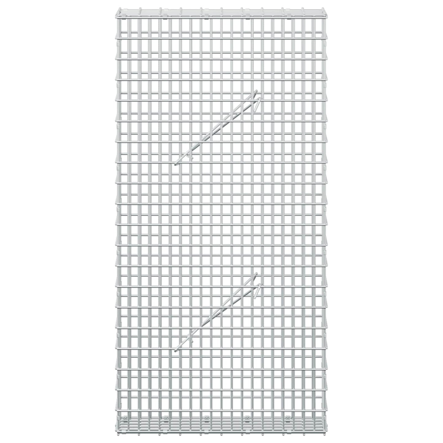 vidaXL Γκαμπιόν με σύρμα 5 mm και πλέγμα 5x2,5 cm 50x10x100 εκ