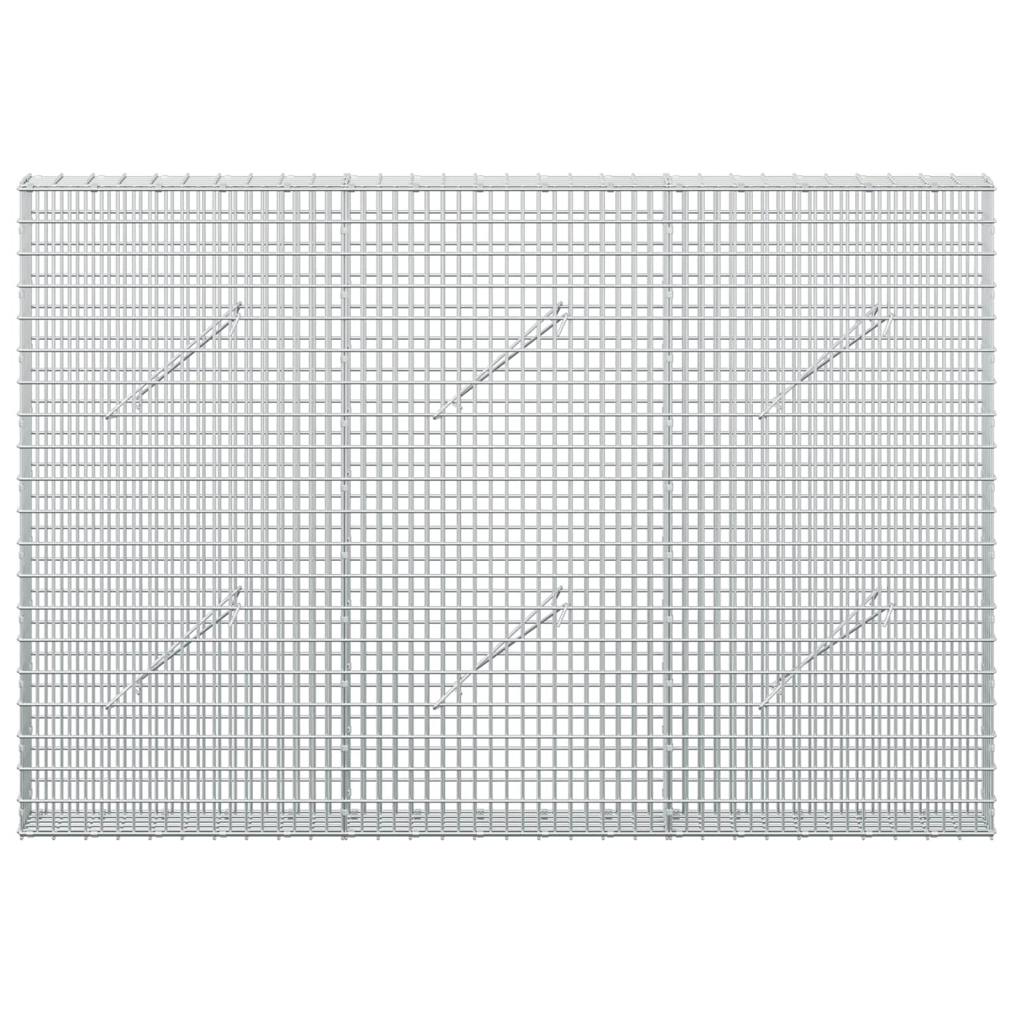 vidaXL Γκαμπιόν με σύρμα 5 mm και πλέγμα 5x2,5 cm 150x10x100 εκ