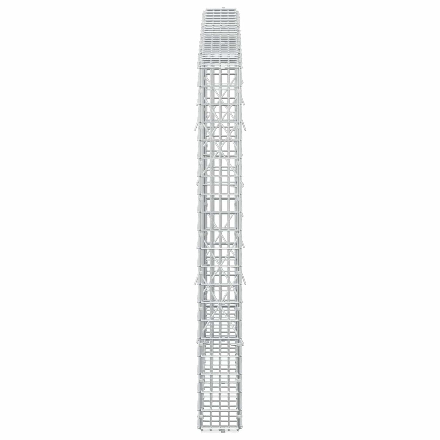 vidaXL Γκαμπιόν με σύρμα 5 mm και πλέγμα 5x2,5 cm 150x10x100 εκ