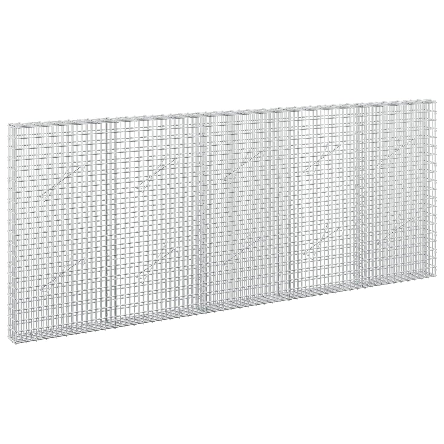 vidaXL Γκαμπιόν με σύρμα 5 mm και πλέγμα 5x2,5 cm 250x10x100 εκ