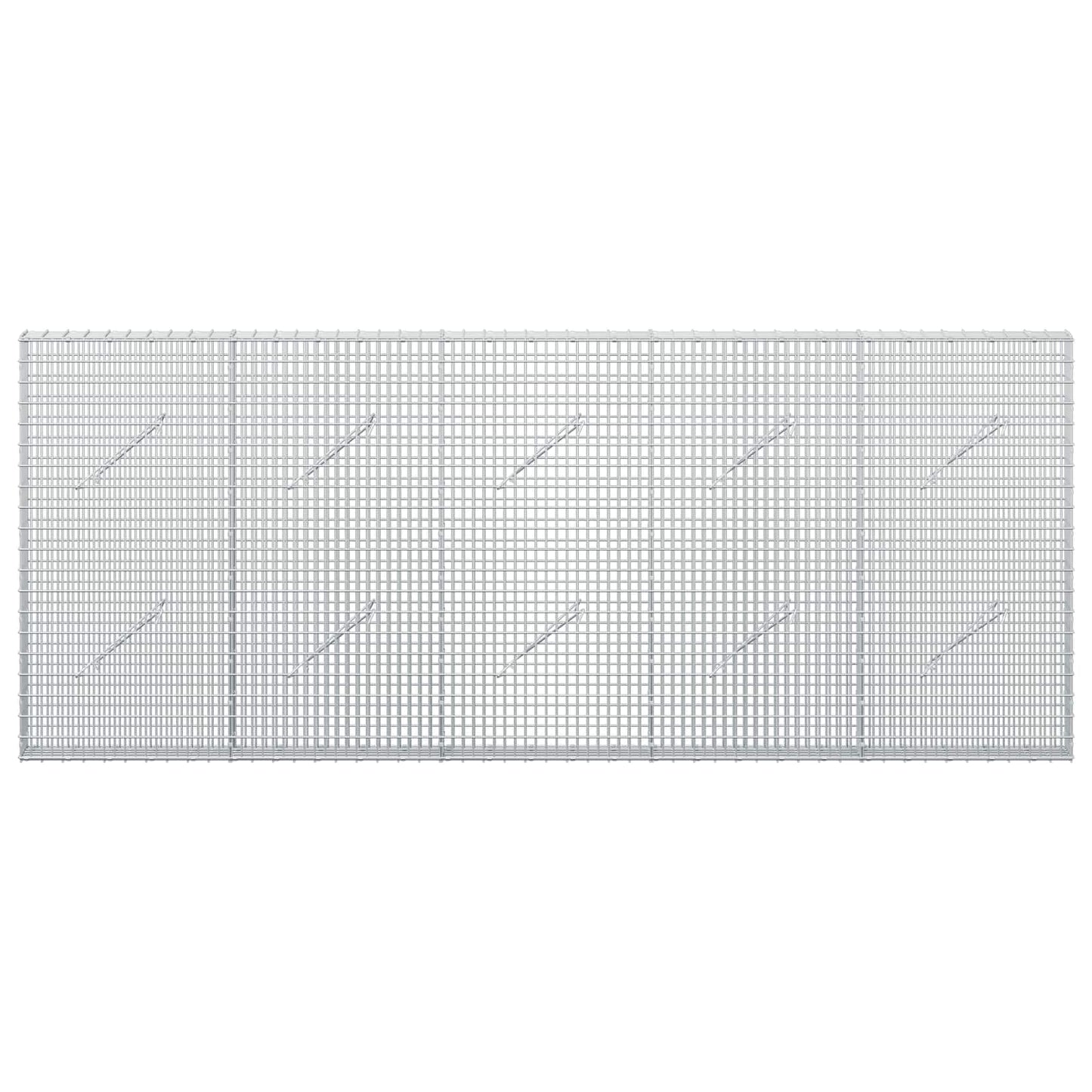 vidaXL Γκαμπιόν με σύρμα 5 mm και πλέγμα 5x2,5 cm 250x10x100 εκ