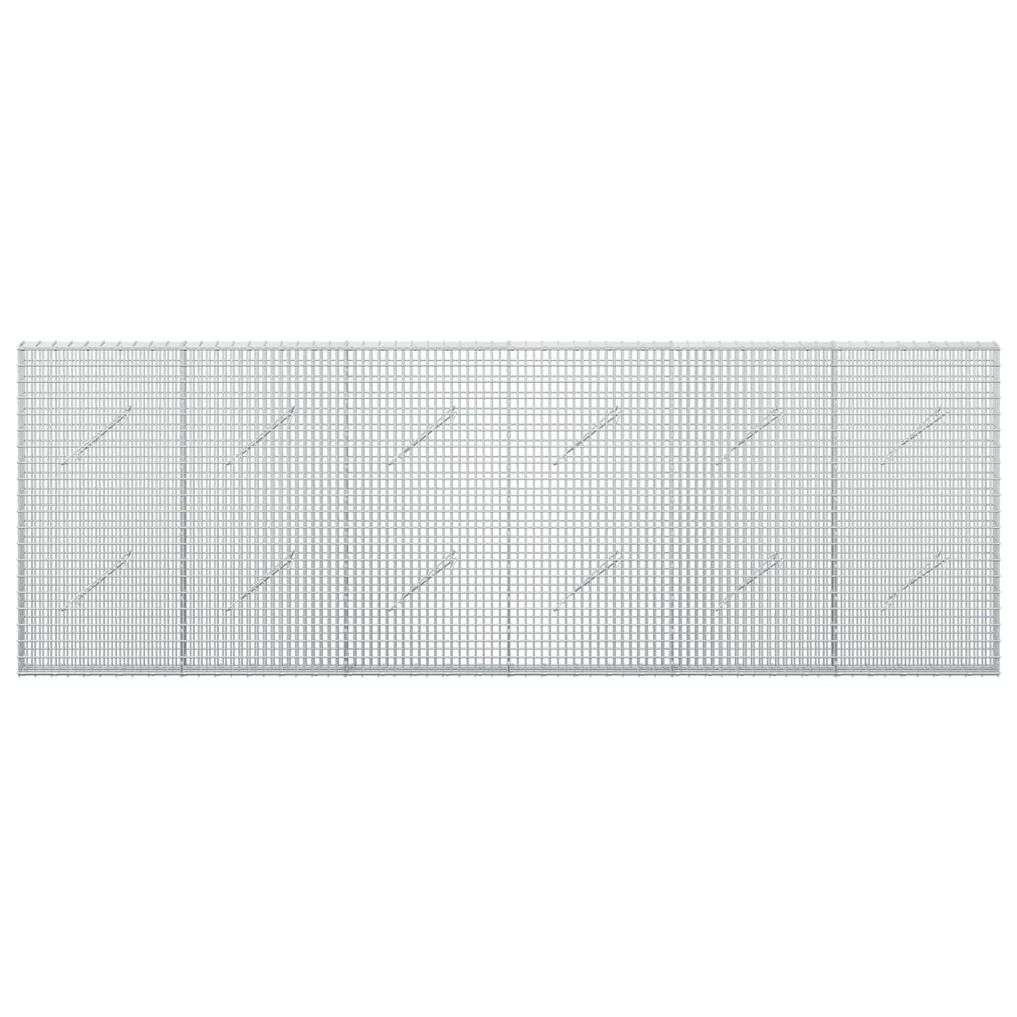 vidaXL Γκαμπιόν με σύρμα 5 mm και πλέγμα 5x2,5 cm 300x10x100 εκ