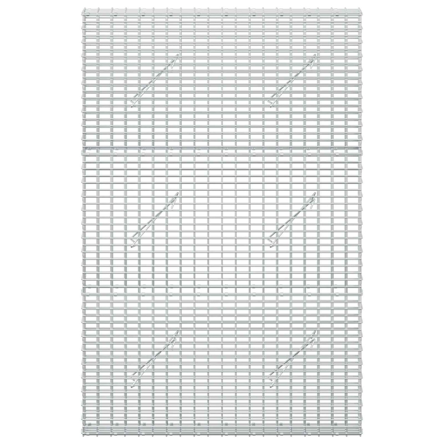 vidaXL Γκαμπιόν με σύρμα 5 mm και πλέγμα 5x2,5 cm 100x10x150 εκ