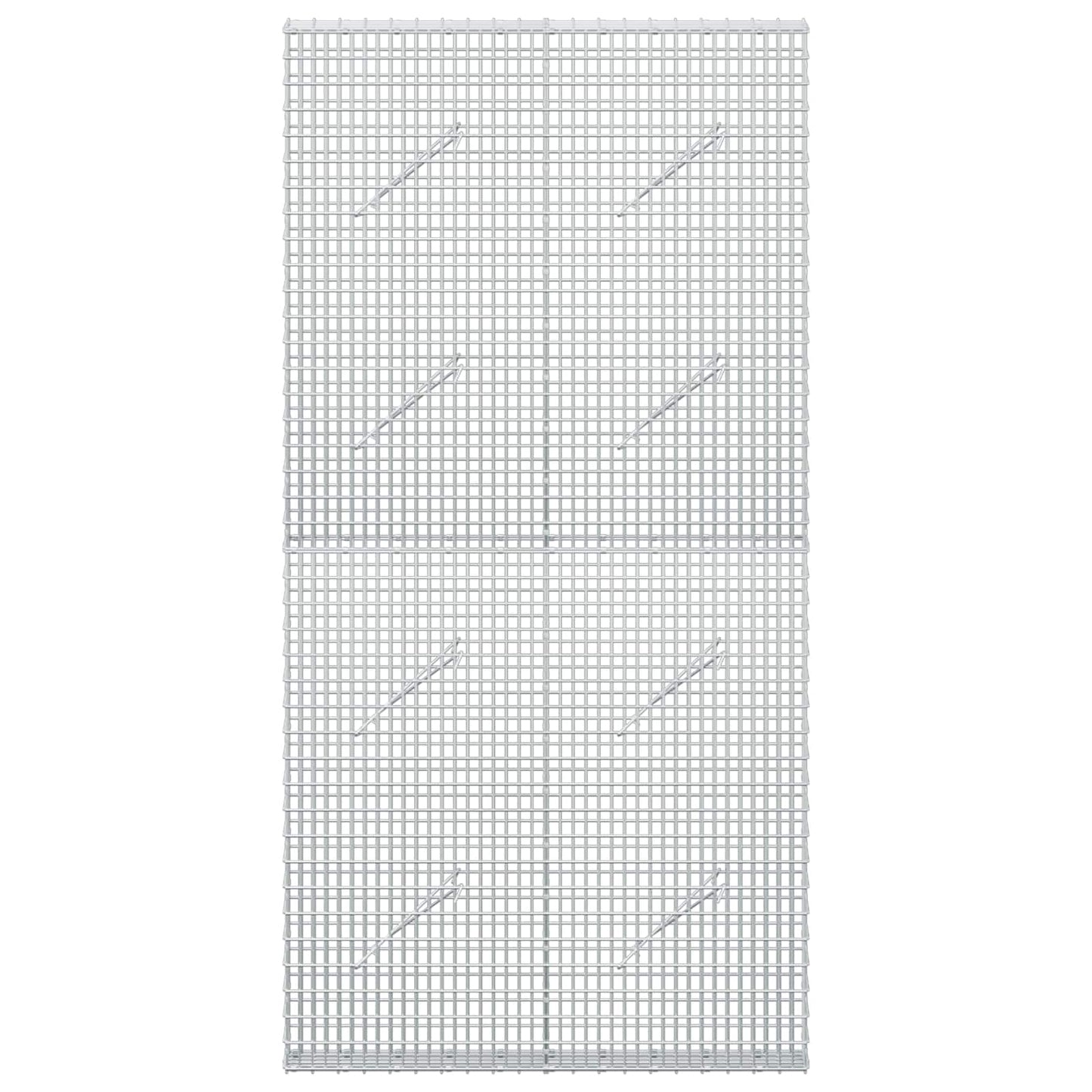 vidaXL Γκαμπιόν με σύρμα 5 mm και πλέγμα 5x2,5 cm 100x10x200 εκ