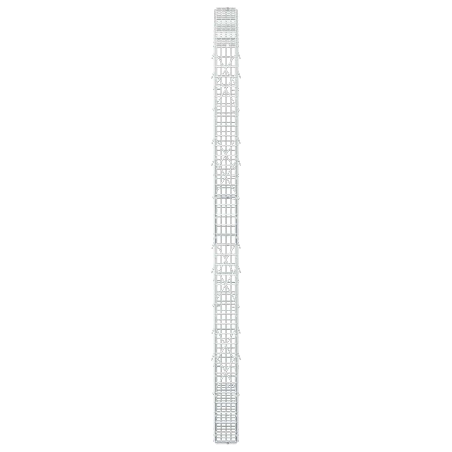 vidaXL Γκαμπιόν με σύρμα 5 mm και πλέγμα 5x2,5 cm 100x10x200 εκ