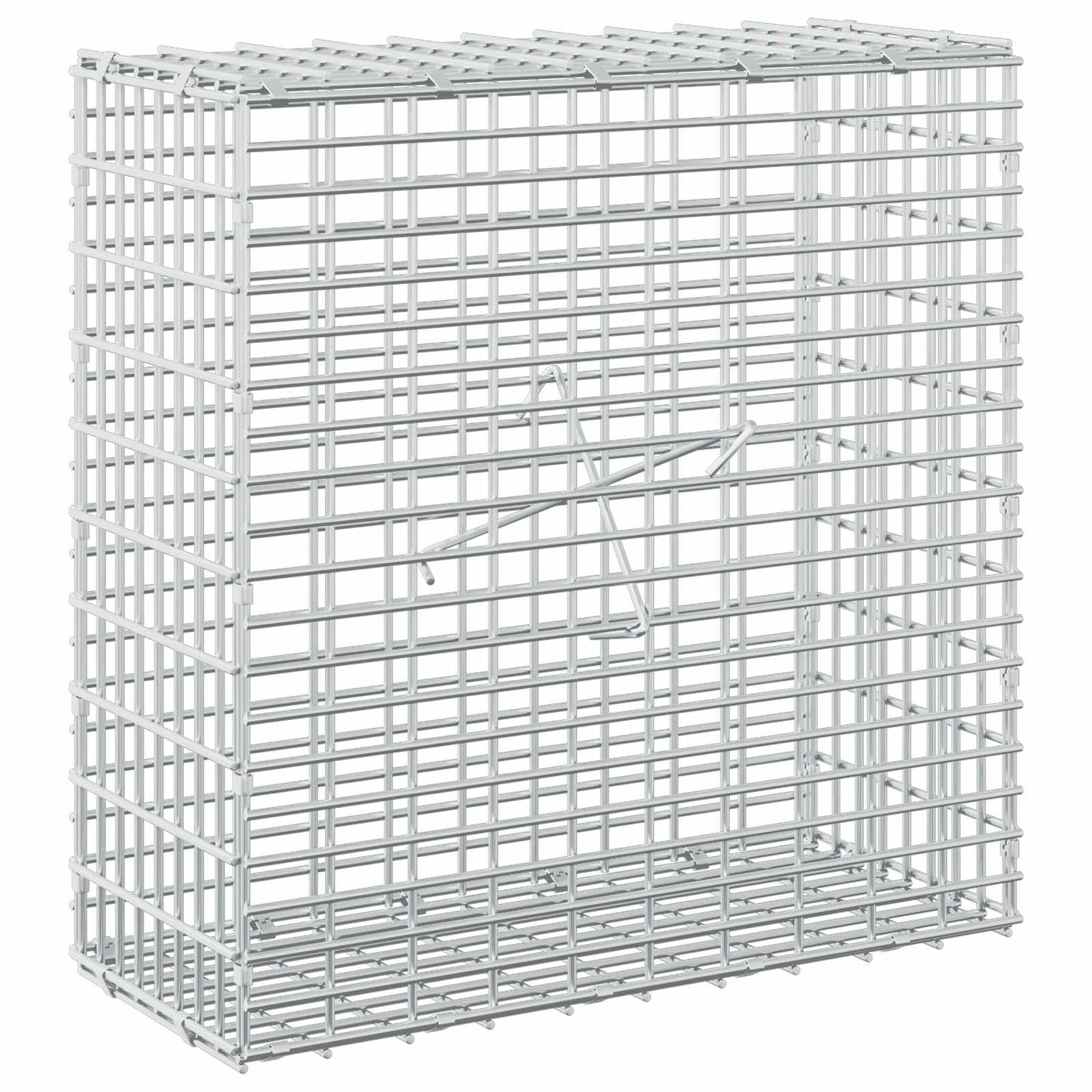 vidaXL Γκαμπιόν με σύρμα 5 mm και πλέγμα 5x2,5 cm 50x20x50 εκ