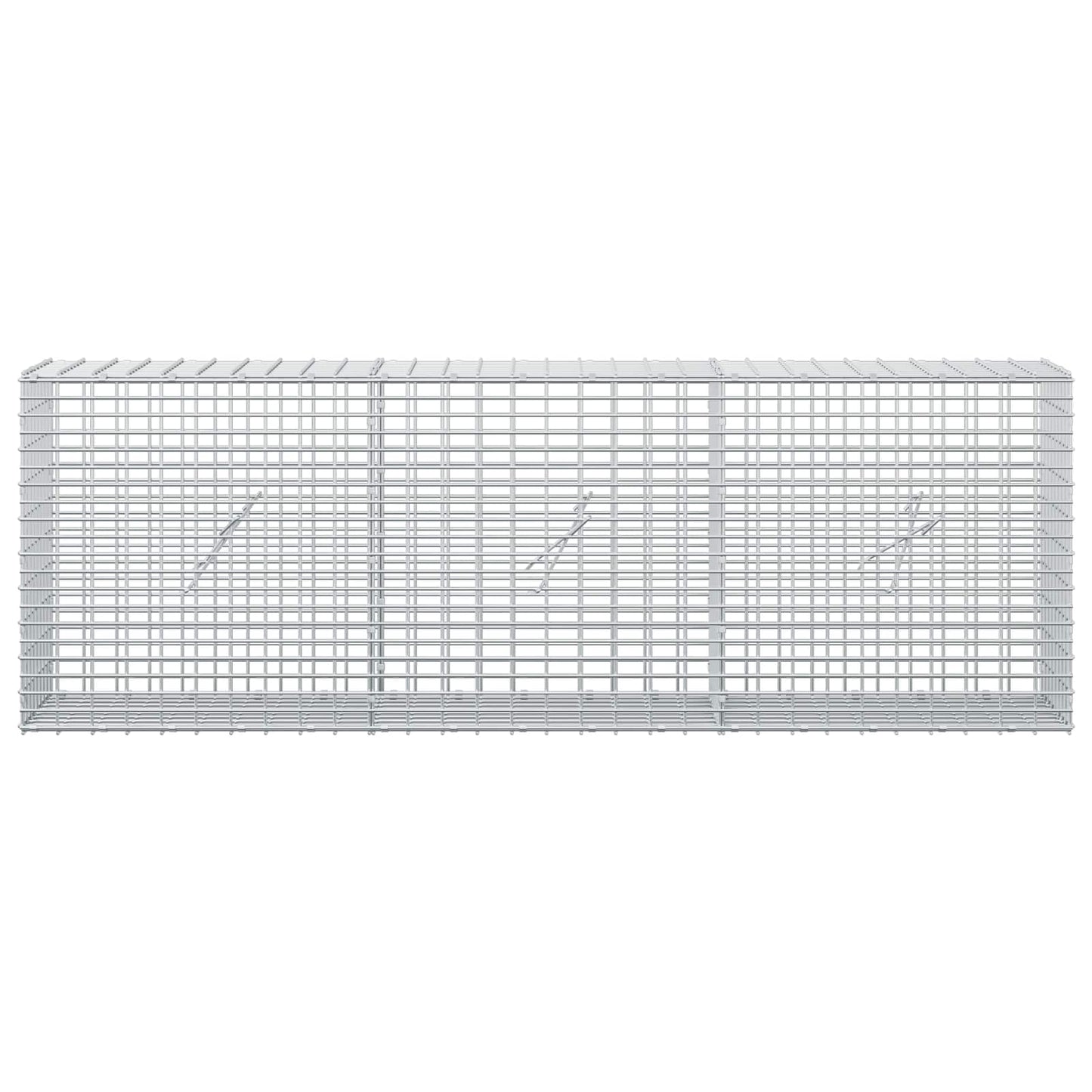vidaXL Γκαμπιόν με σύρμα 5 mm και πλέγμα 5x2,5 cm 150x20x50 εκ