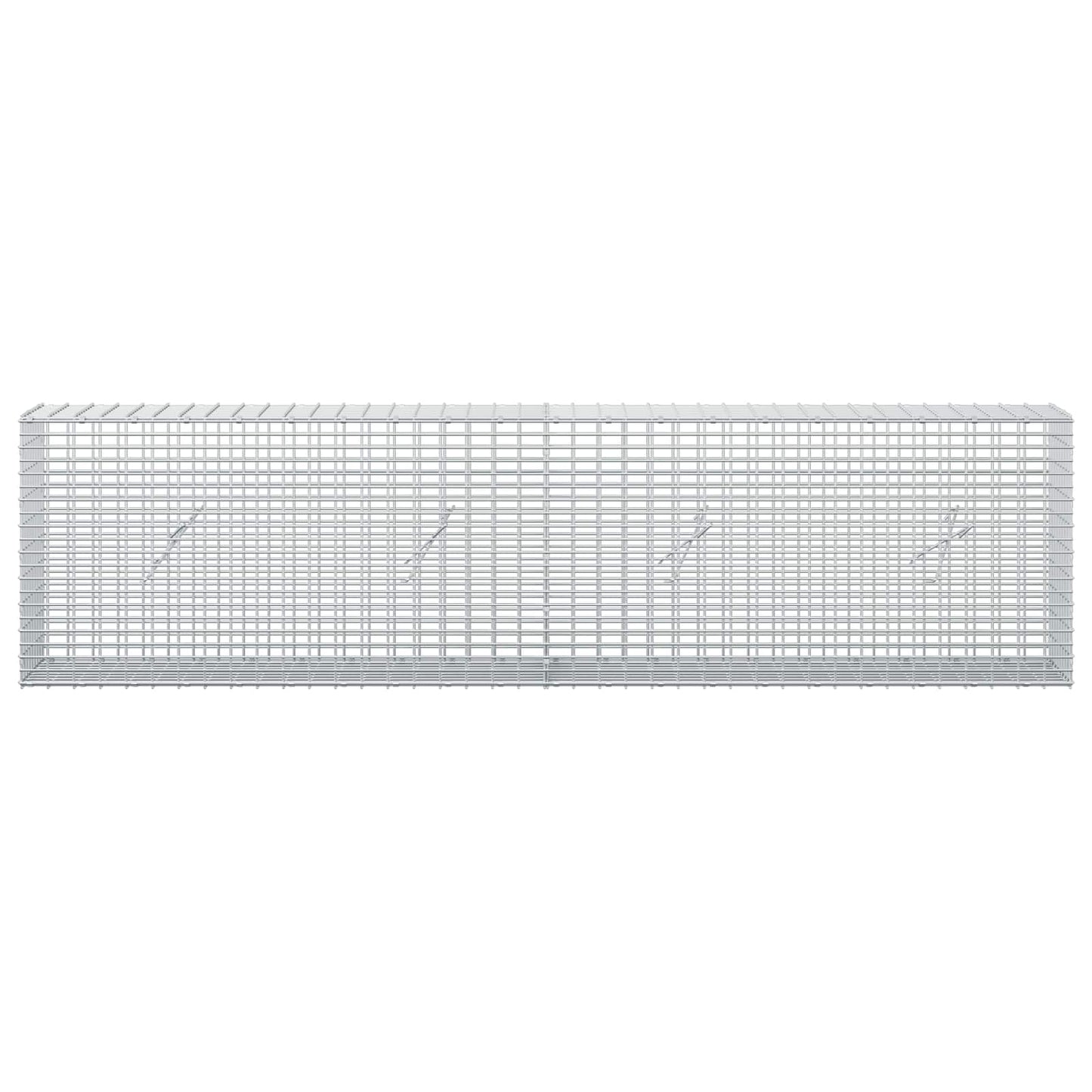 vidaXL Γκαμπιόν με σύρμα 5 mm και πλέγμα 5x2,5 cm 200x20x50 εκ