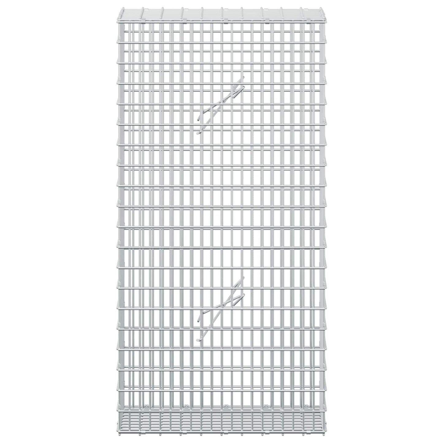 vidaXL Γκαμπιόν με σύρμα 5 mm και πλέγμα 5x2,5 cm 50x20x100 εκ