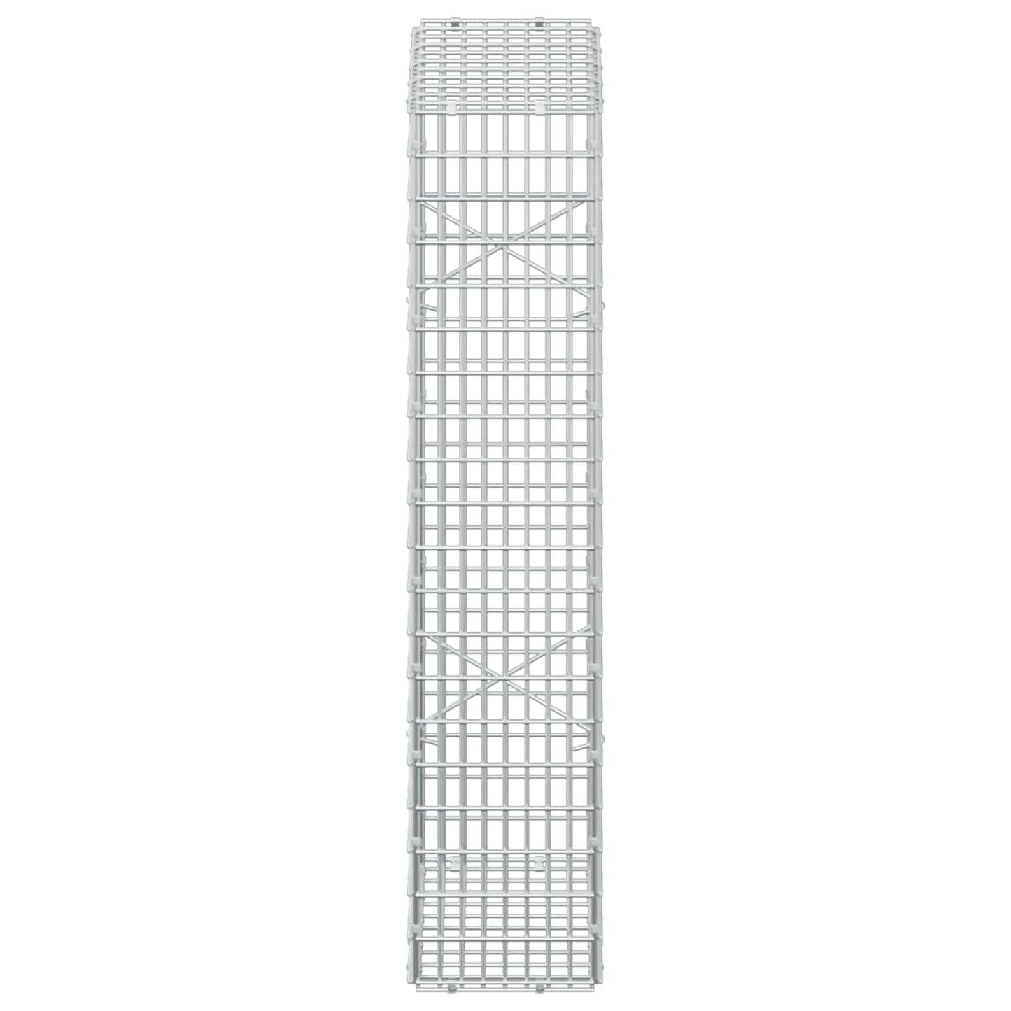 vidaXL Γκαμπιόν με σύρμα 5 mm και πλέγμα 5x2,5 cm 50x20x100 εκ