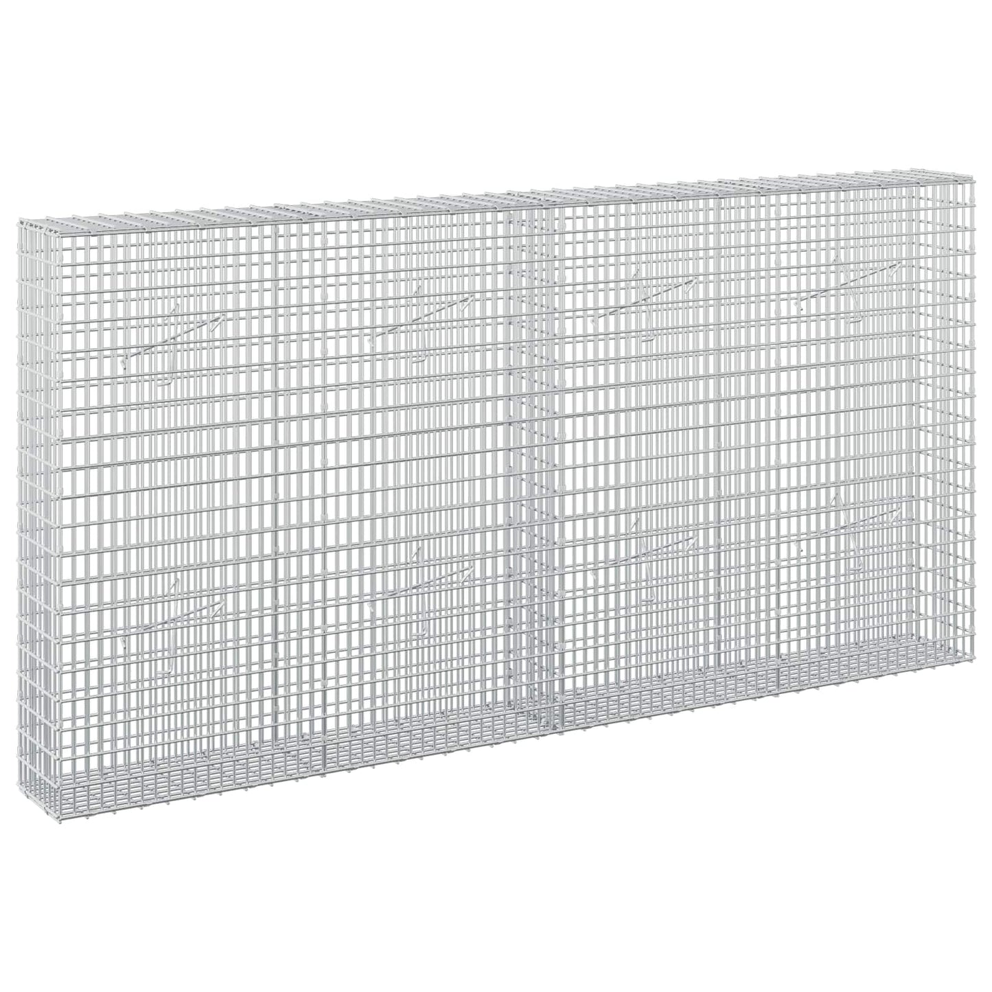 vidaXL Γκαμπιόν με σύρμα 5 mm και πλέγμα 5x2,5 cm 200x20x100 εκ