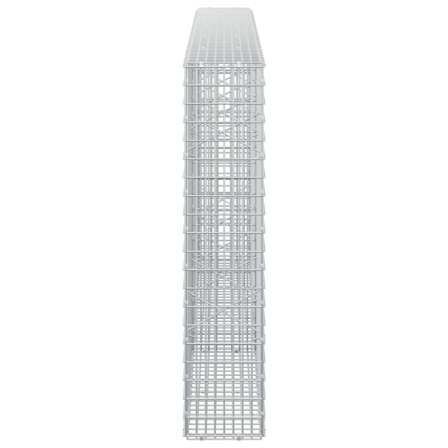 vidaXL Γκαμπιόν με σύρμα 5 mm και πλέγμα 5x2,5 cm 250x20x100 εκ