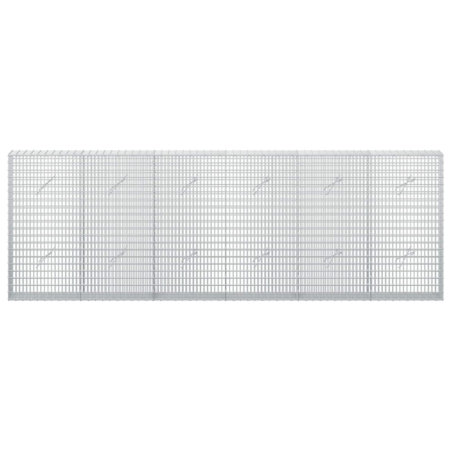 vidaXL Γκαμπιόν με σύρμα 5 mm και πλέγμα 5x2,5 cm 300x20x100 εκ