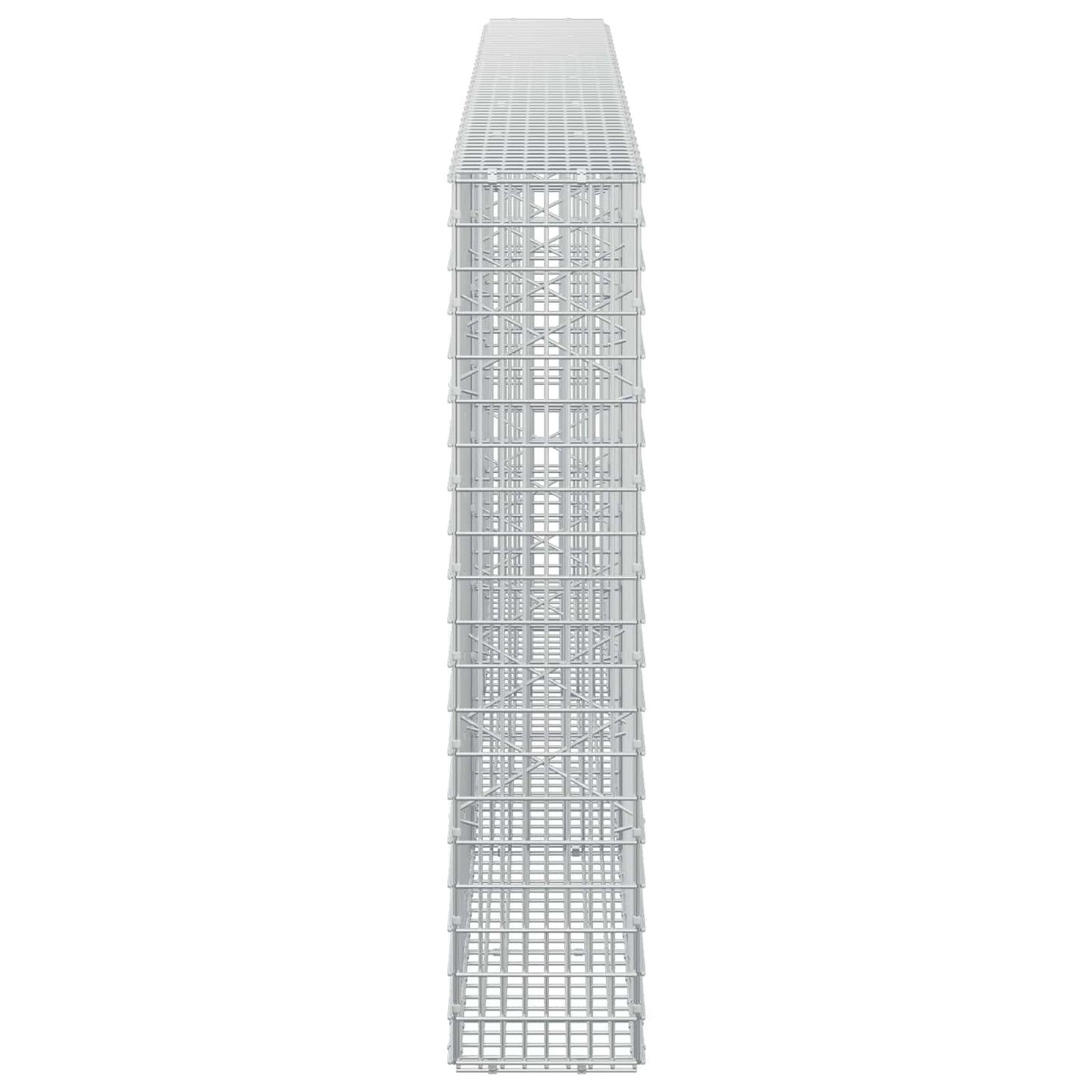 vidaXL Γκαμπιόν με σύρμα 5 mm και πλέγμα 5x2,5 cm 300x20x100 εκ