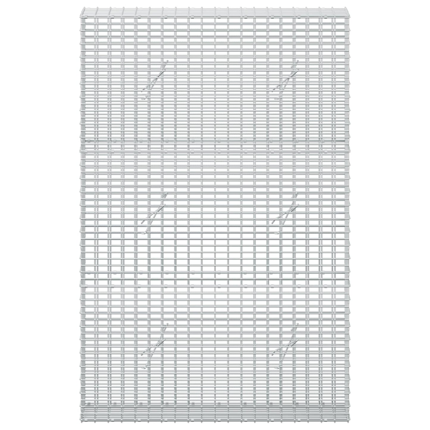 vidaXL Γκαμπιόν με σύρμα 5 mm και πλέγμα 5x2,5 cm 100x20x150 εκ