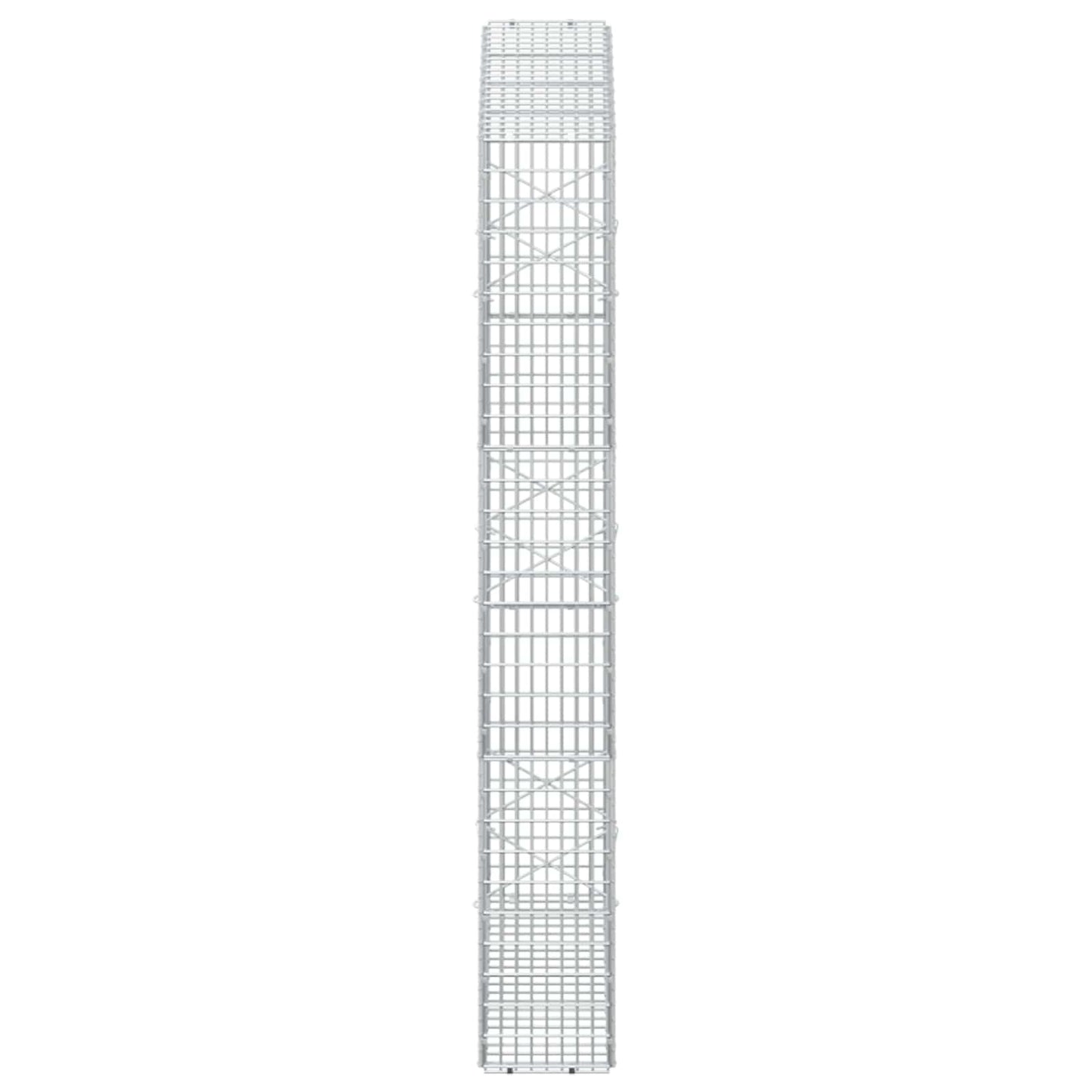 vidaXL Γκαμπιόν με σύρμα 5 mm και πλέγμα 5x2,5 cm 100x20x150 εκ