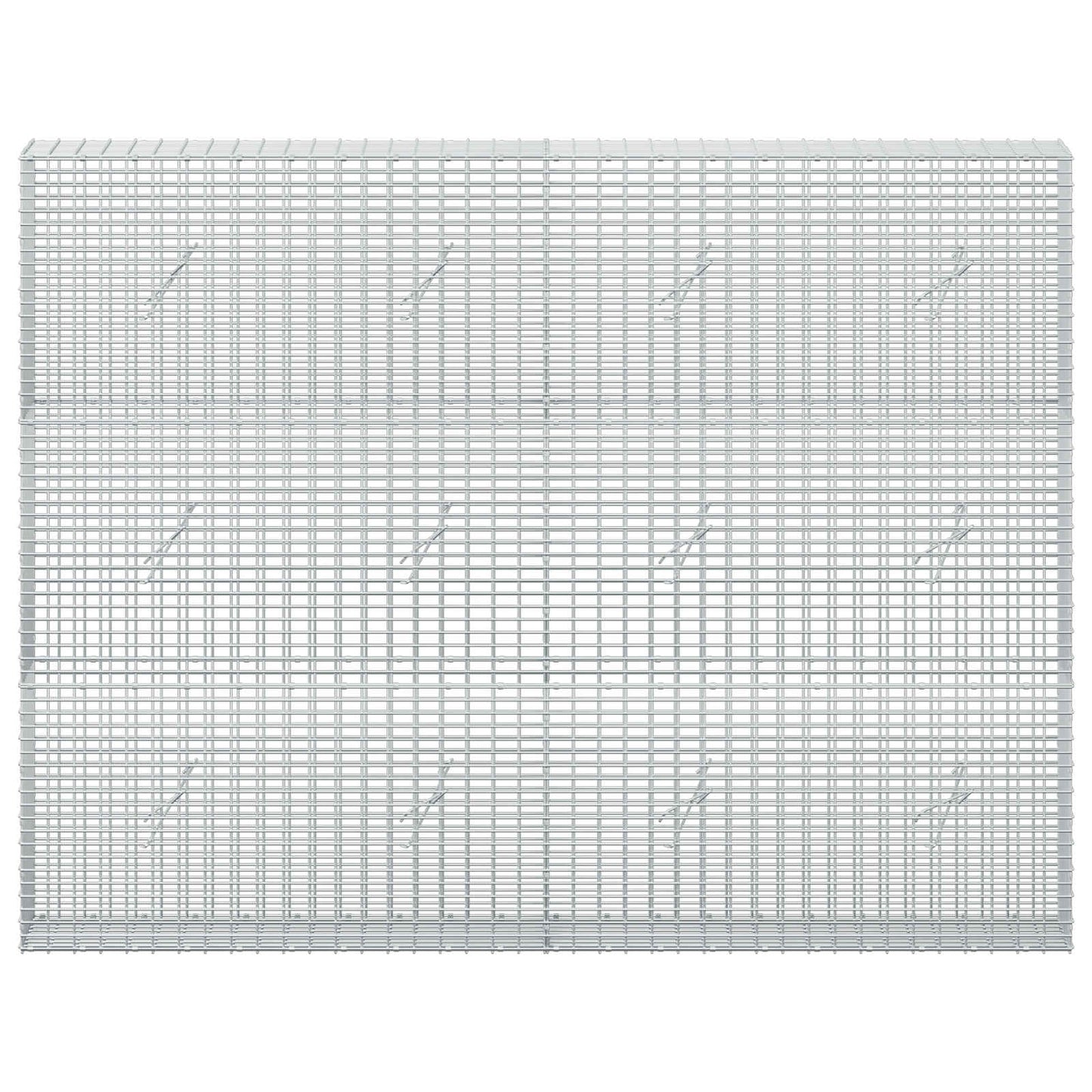 vidaXL Γκαμπιόν με σύρμα 5 mm και πλέγμα 5x2,5 cm 200x20x150 εκ