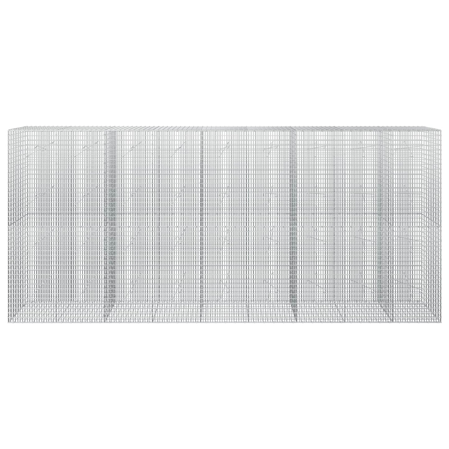 vidaXL Γκαμπιόν με σύρμα 5 mm και πλέγμα 5x2,5 cm 450x20x200 εκ