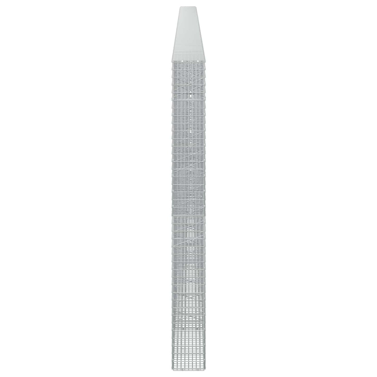 vidaXL Γκαμπιόν με σύρμα 5 mm και πλέγμα 5x2,5 cm 1000x20x200 εκ.