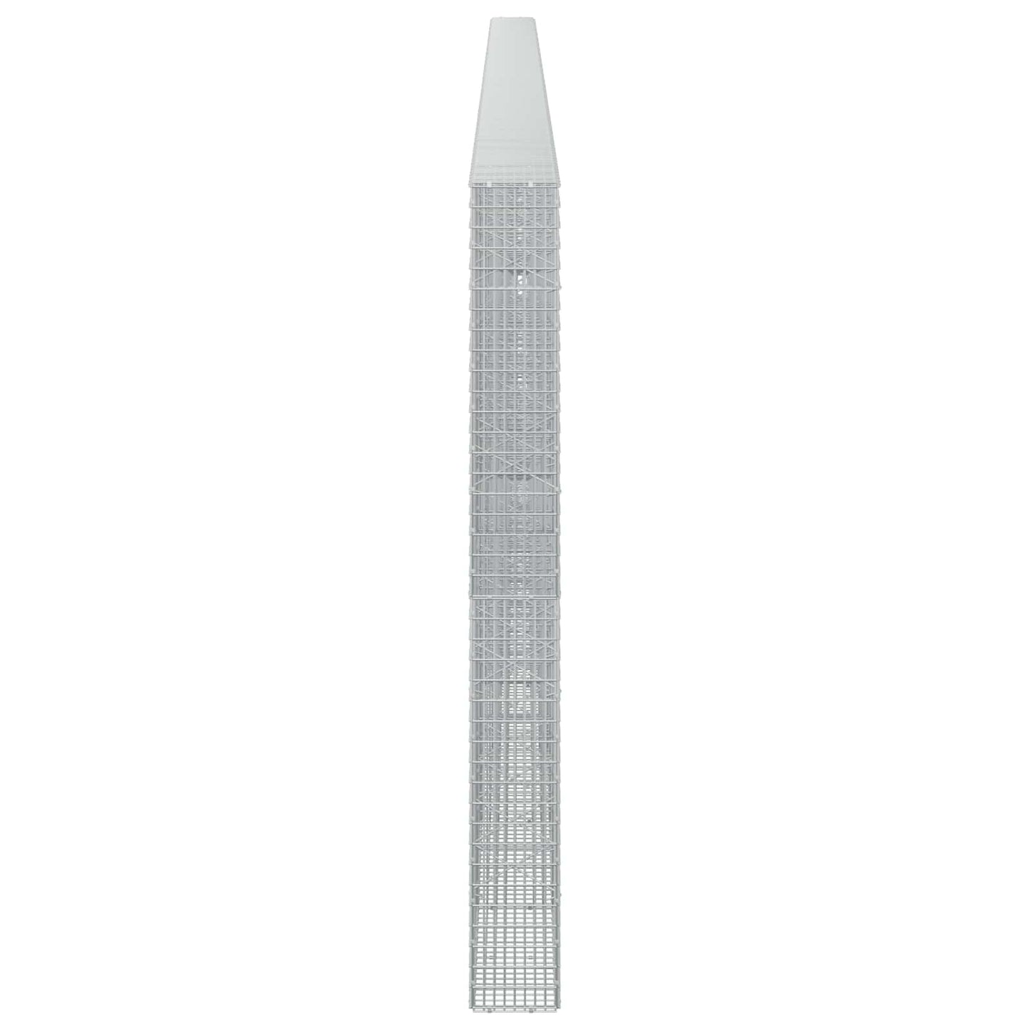 vidaXL Γκαμπιόν με σύρμα 5 mm και πλέγμα 5x2,5 cm 1100x20x200 εκ