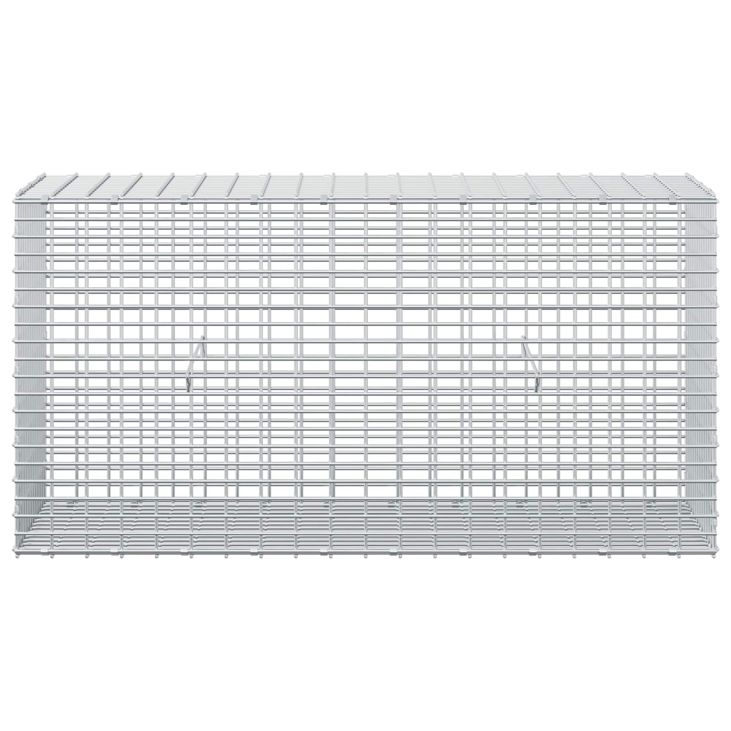 vidaXL Γκαμπιόν με σύρμα 5 mm και πλέγμα 5x2,5 cm 100x30x50 εκ