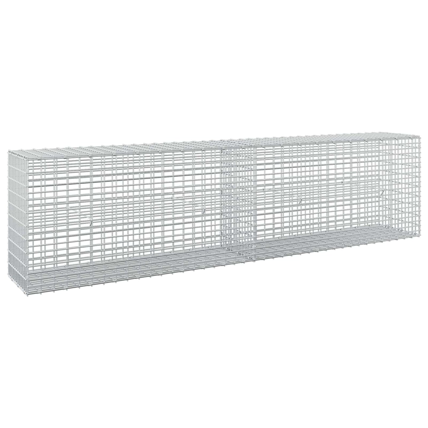 vidaXL Γκαμπιόν με σύρμα 5 mm και πλέγμα 5x2,5 cm 200x30x50 εκ