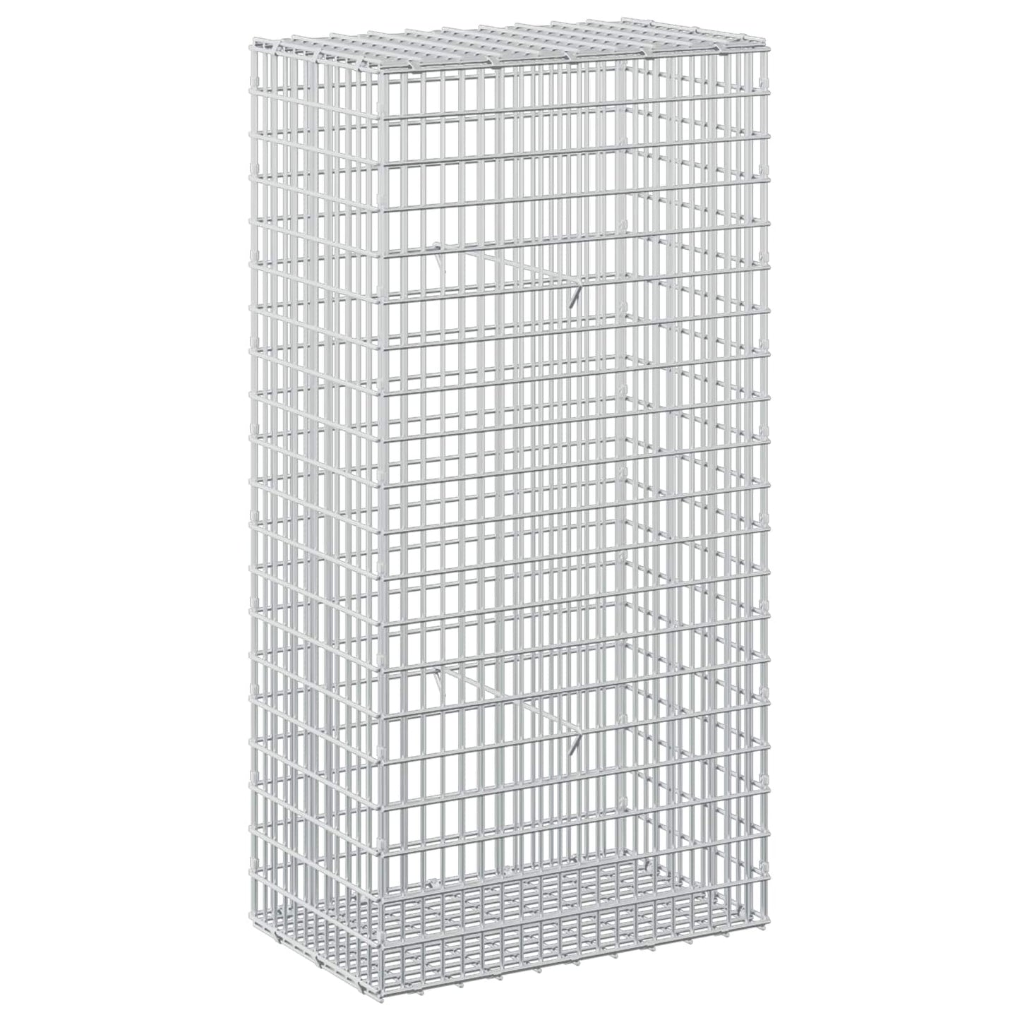 vidaXL Γκαμπιόν με σύρμα 5 mm και πλέγμα 5x2,5 cm 50x30x100 εκ