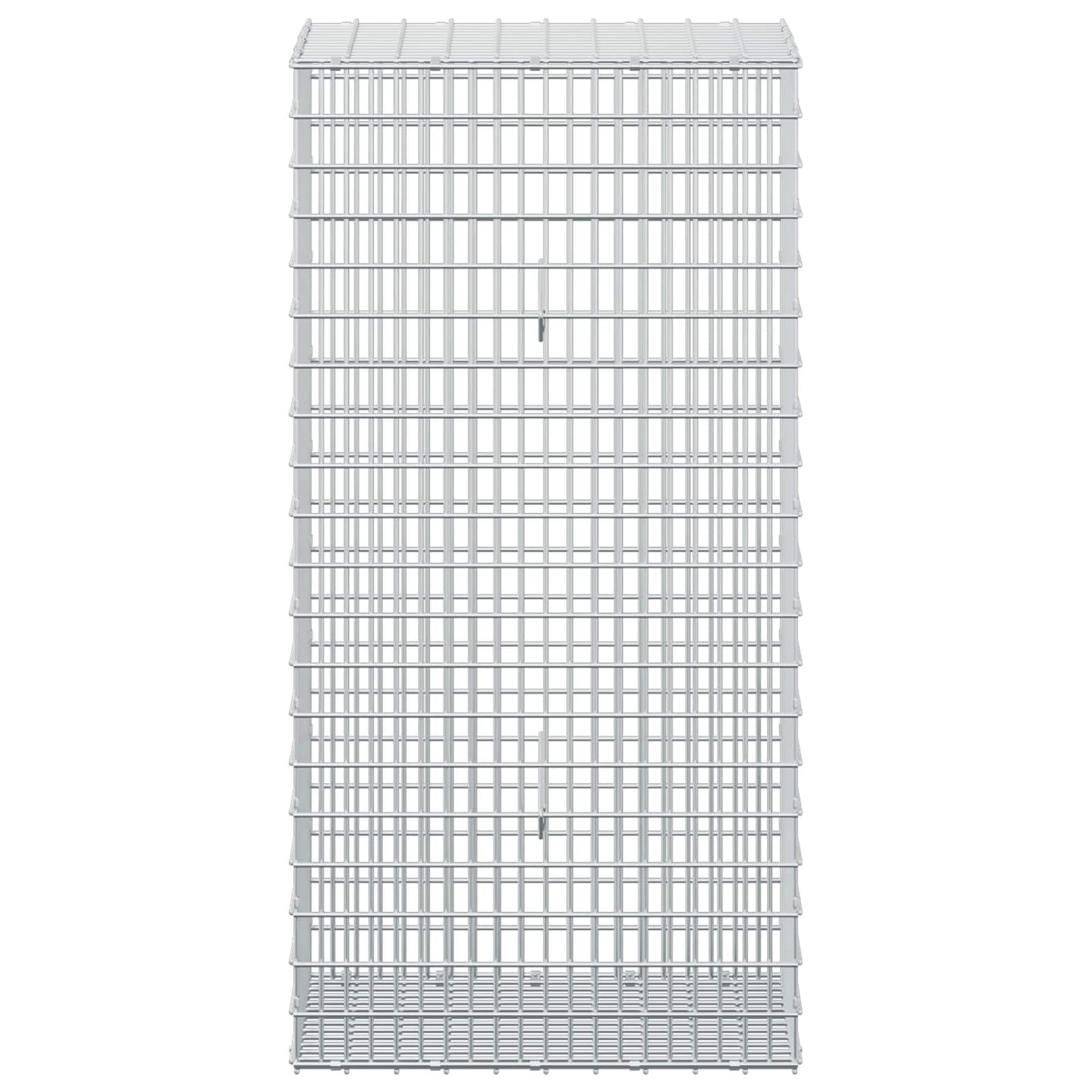 vidaXL Γκαμπιόν με σύρμα 5 mm και πλέγμα 5x2,5 cm 50x30x100 εκ